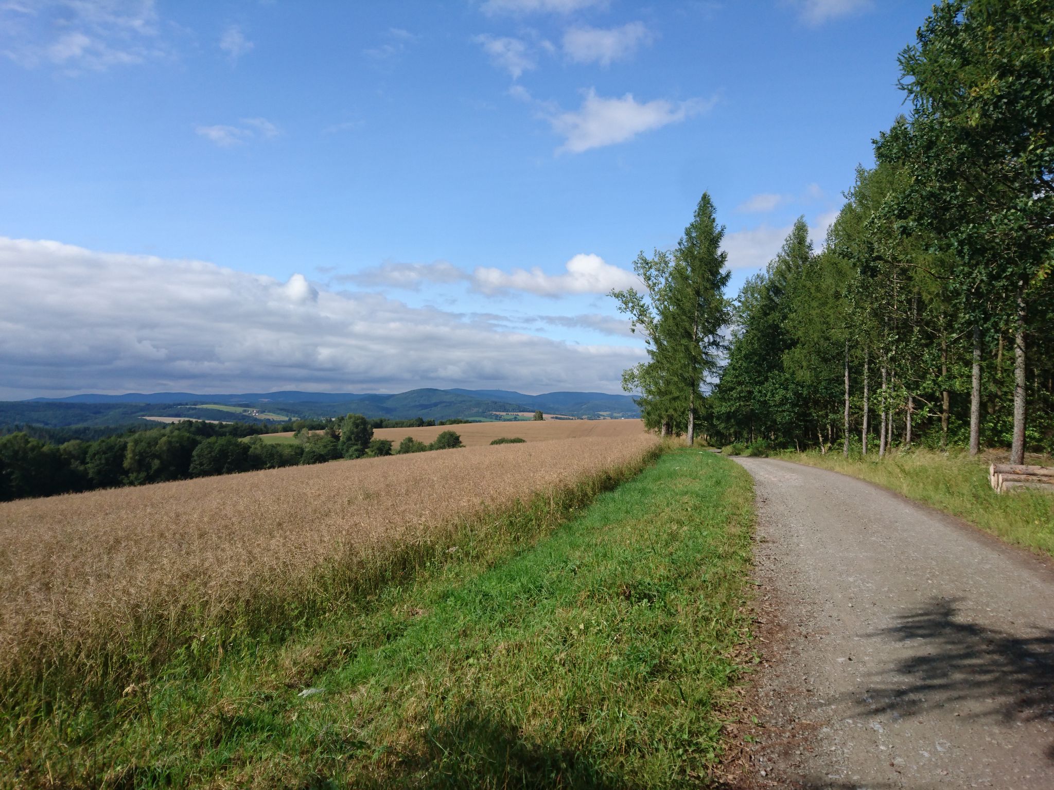 Blick auf den Rennsteig
