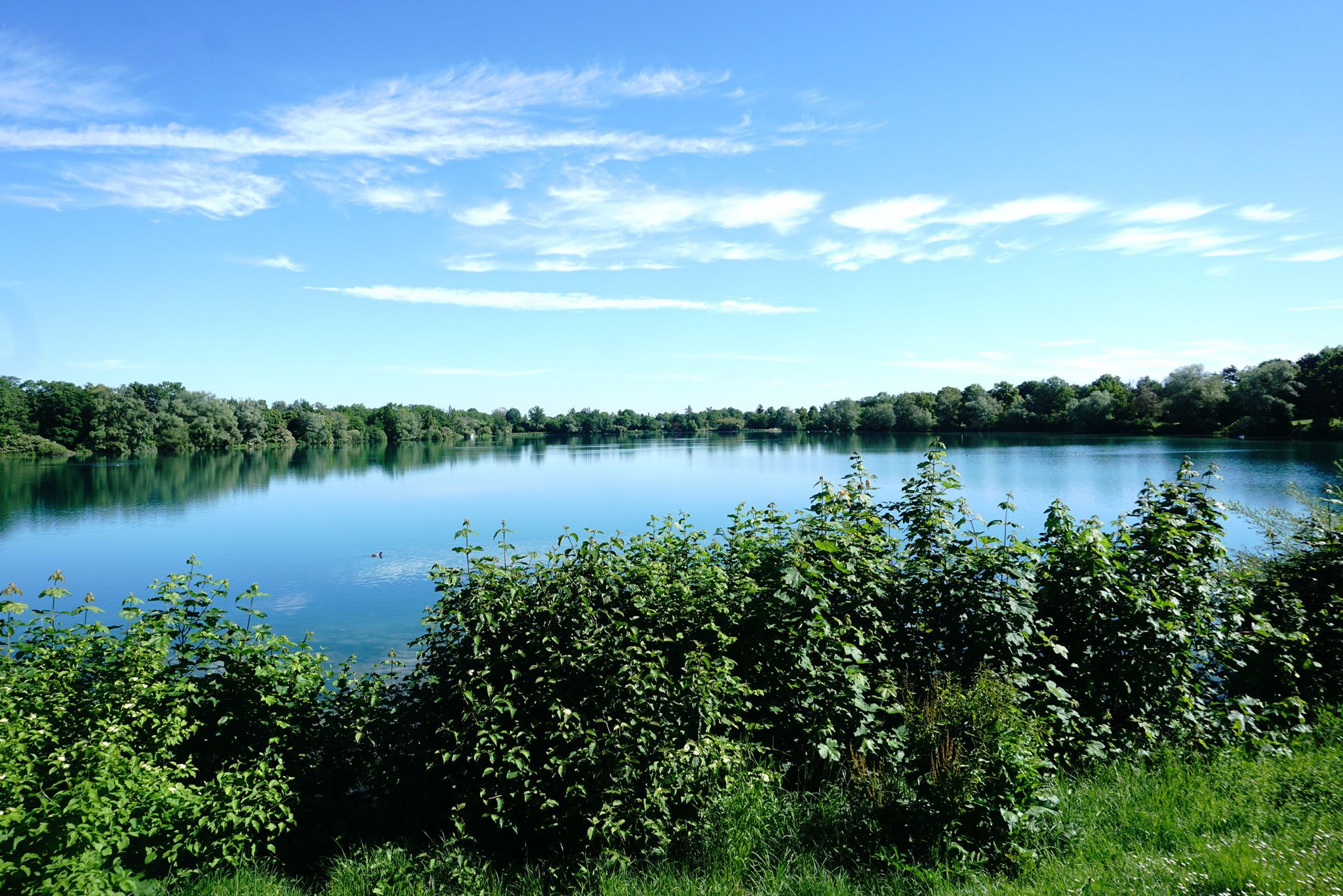Fasaneriesee - München LerchenauWest