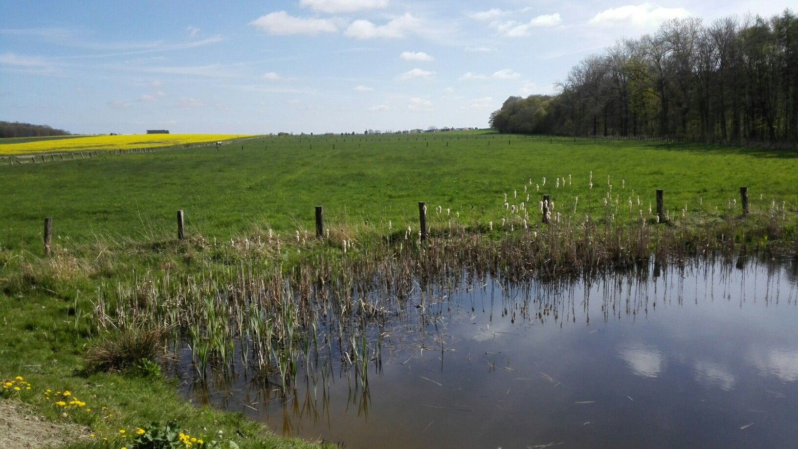 Mit satten Wiesen