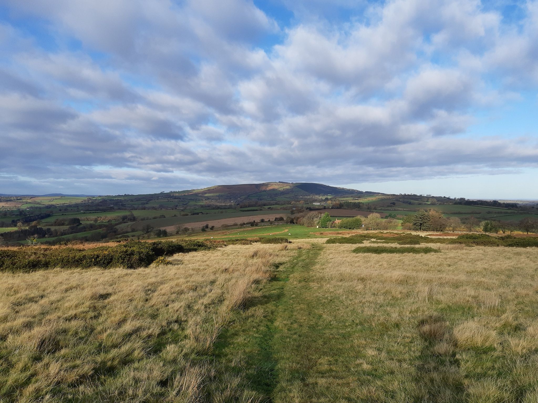 Shropshire Way leading downhill