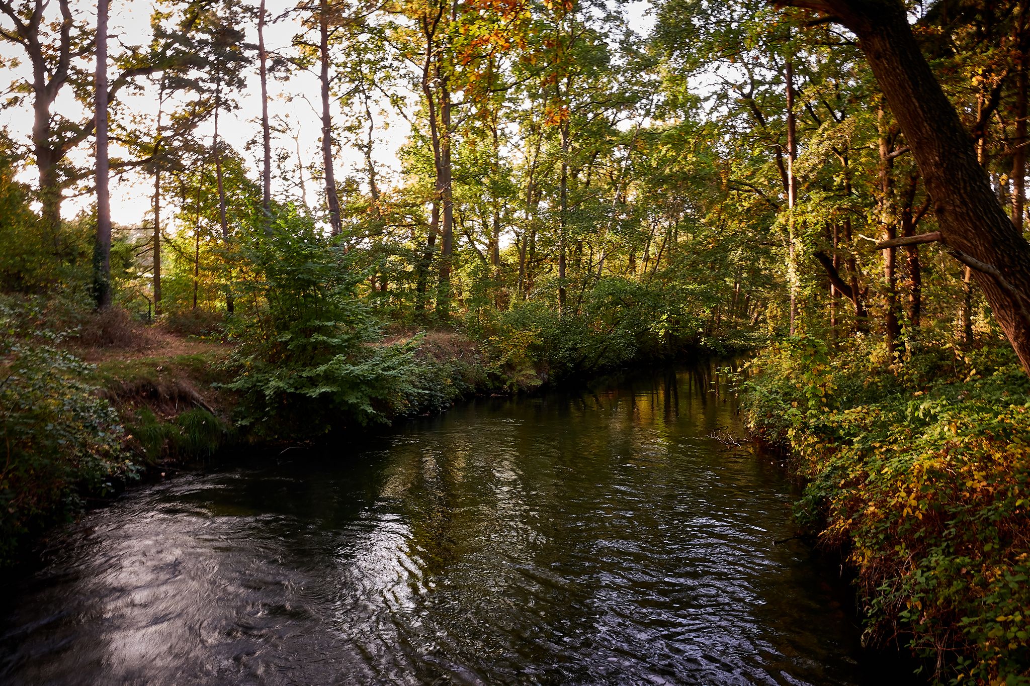 Neetzekanal bei Brietlingen Moorburg