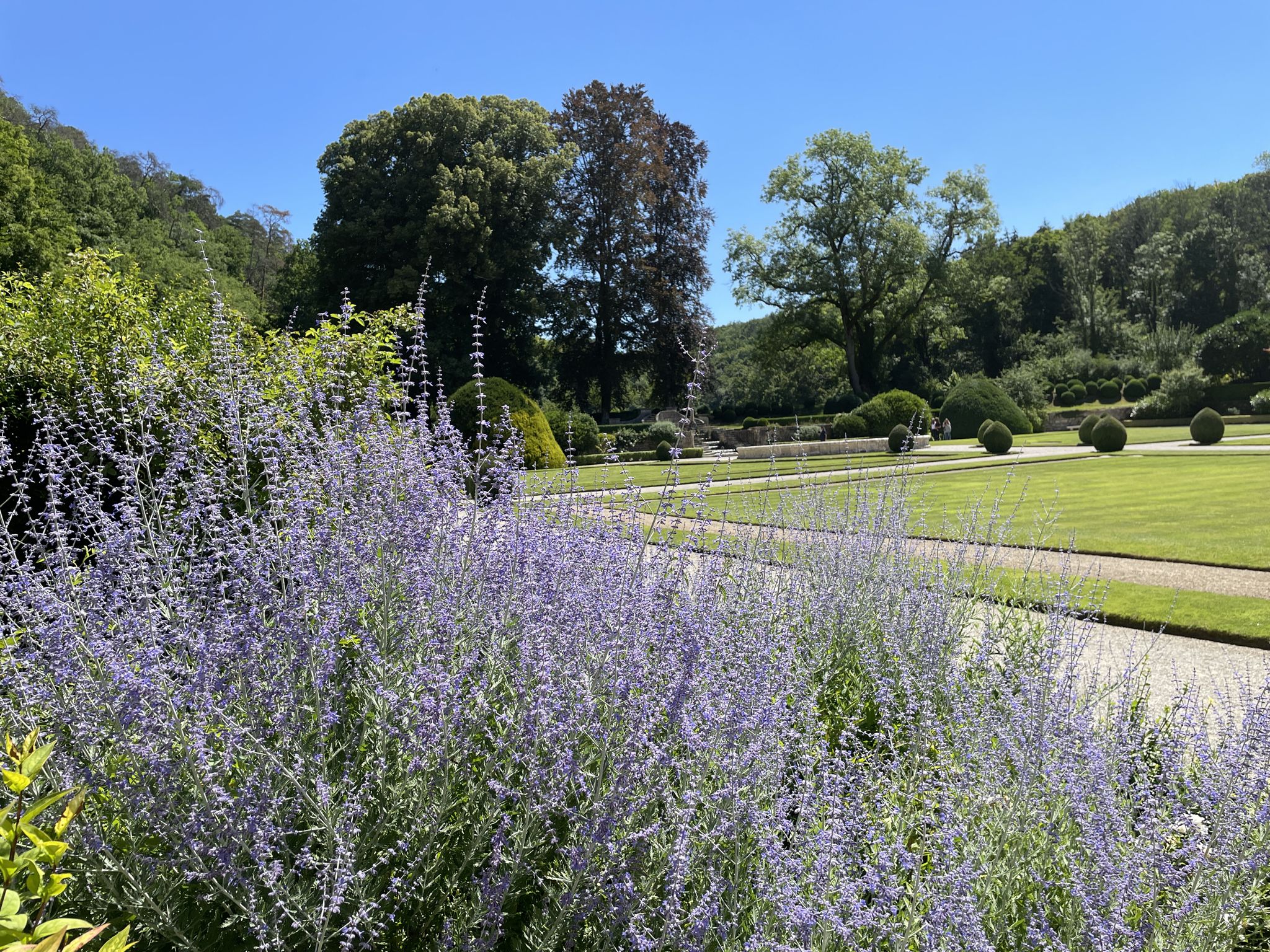 Rundgang großer Garten🚶‍♂️