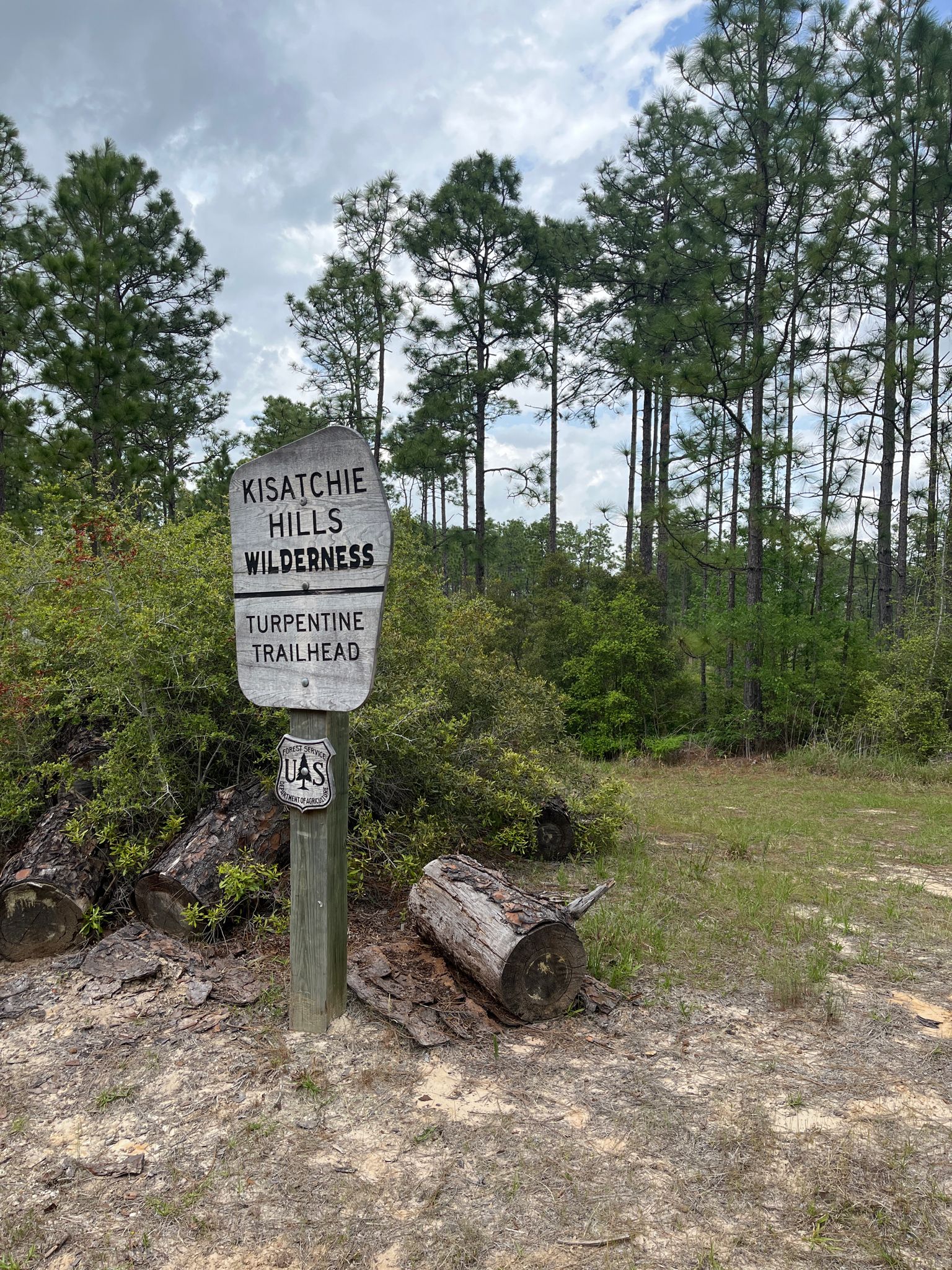 A wooden sign and logs sit beside a dirt path in a pine forest. - Longleaf Scenic Byway