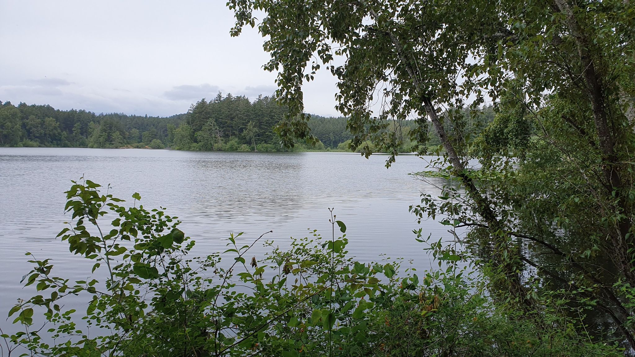 Beaver lake, Vancouver Island