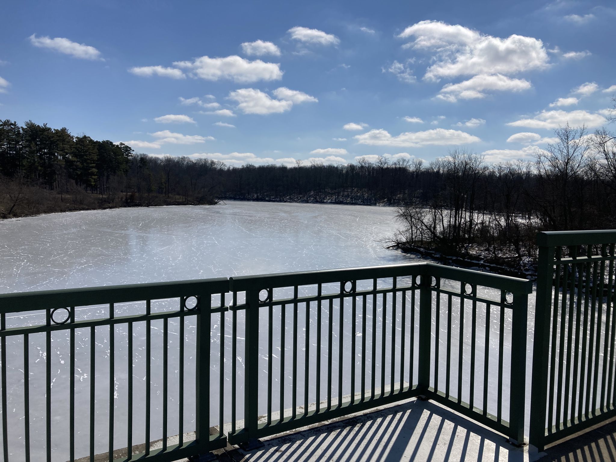 View of a frozen lake and bare trees from a green metal railing. - Winton Lake loop from Greenhills