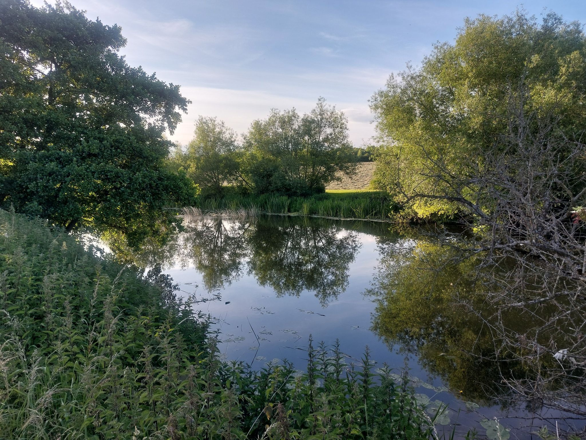A glimpse of the River Avon