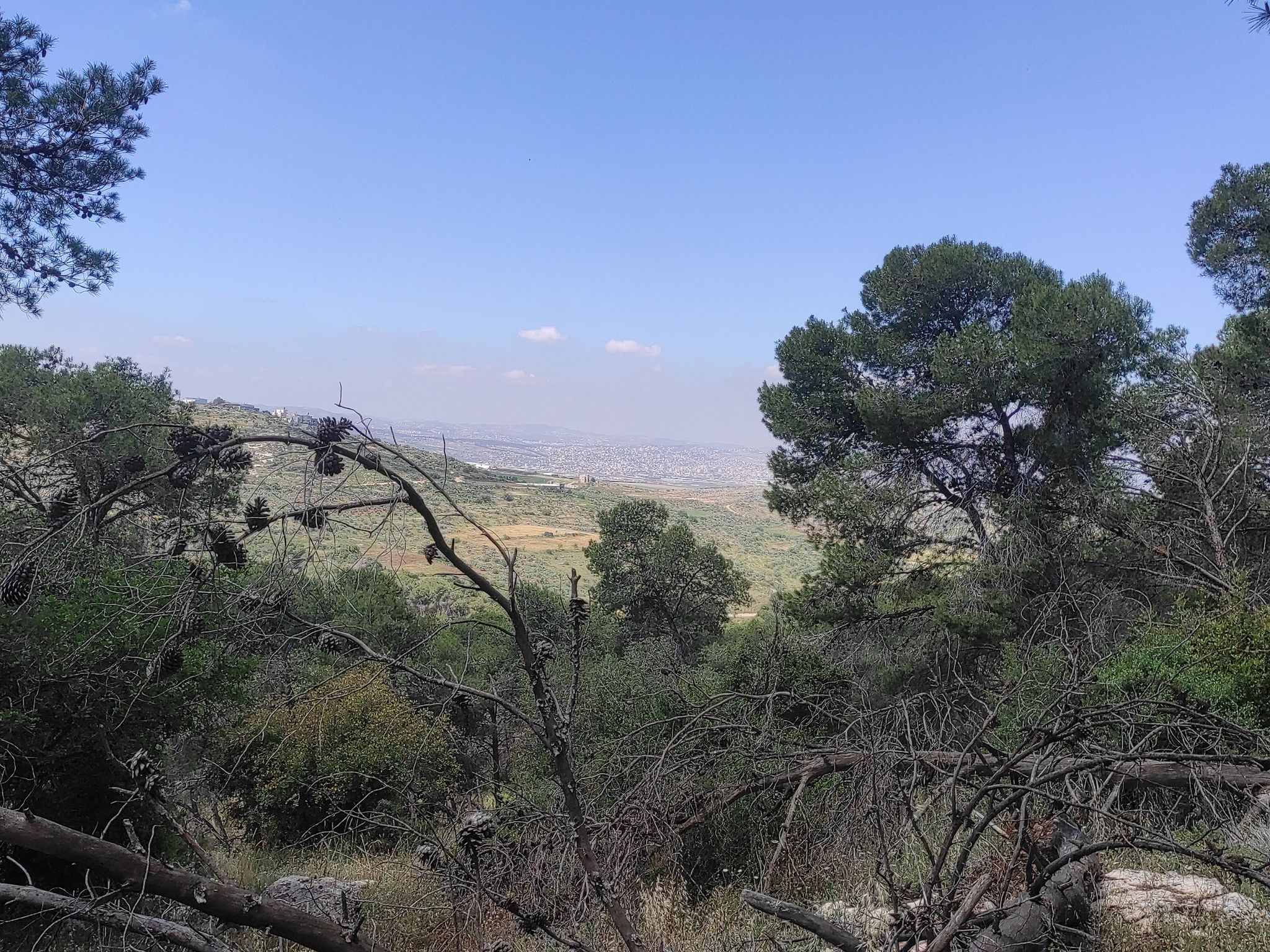 Jenin