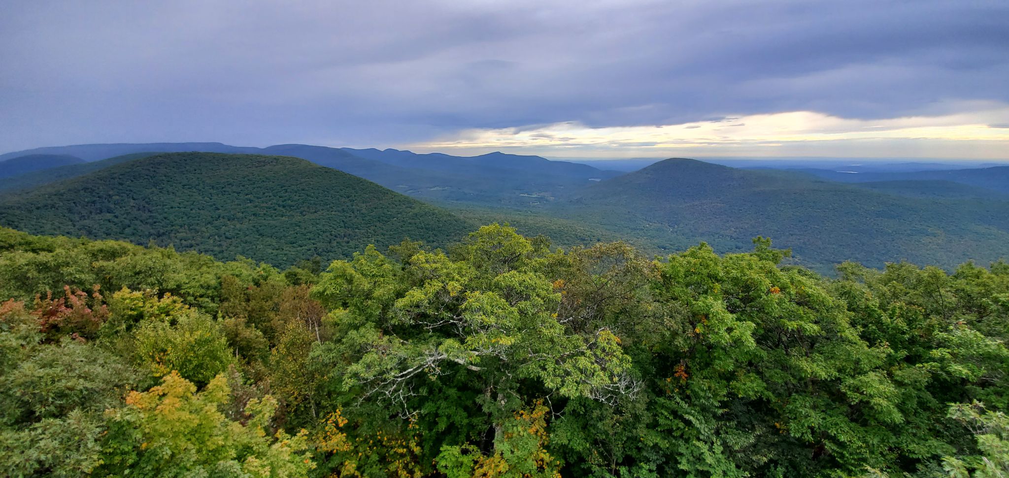 Panoramic view of rolling green forested mountains under an overcast sky. - Tremper Mountain via Phoenicia Trail