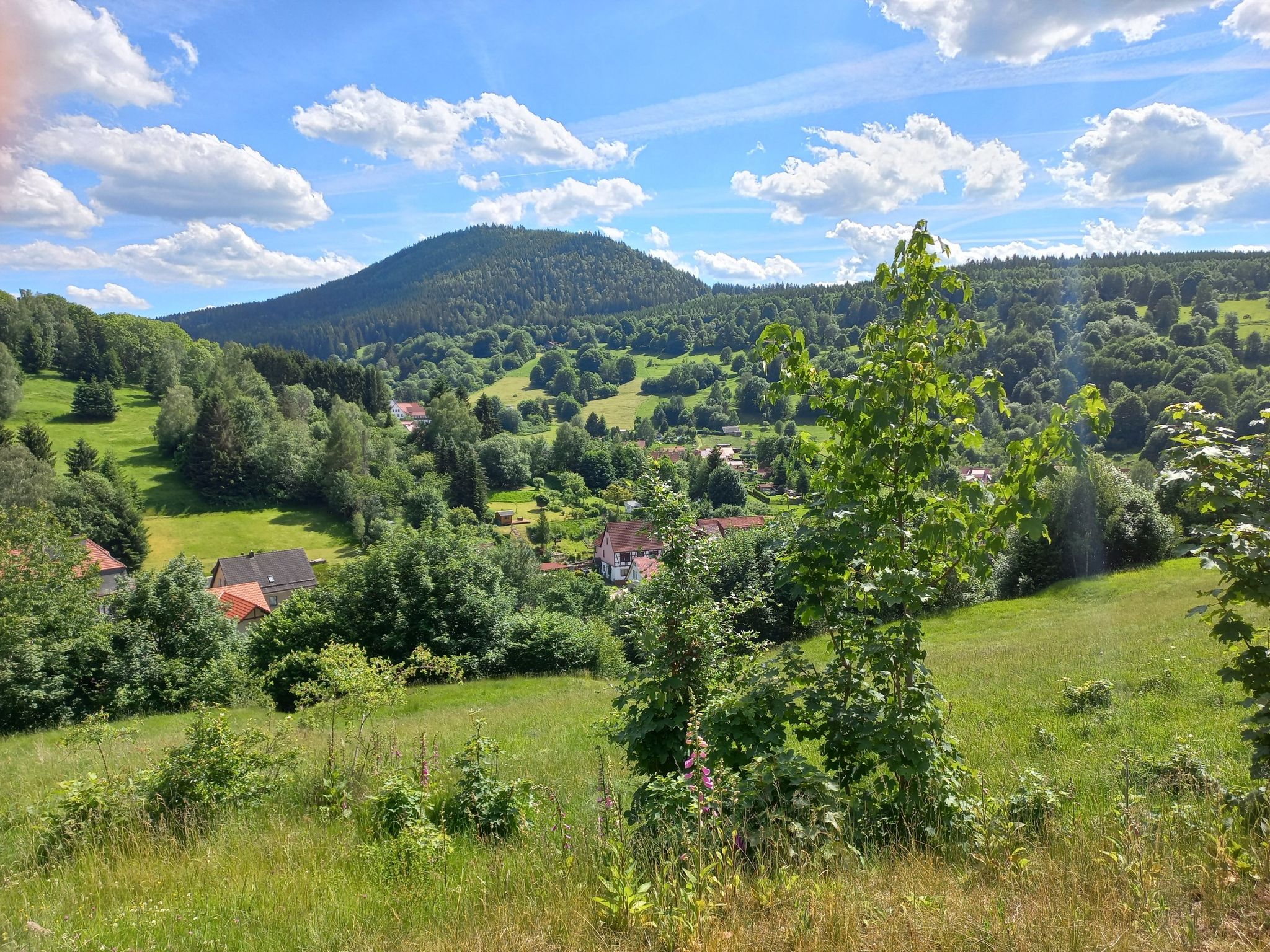 panoramaweg oberschönau