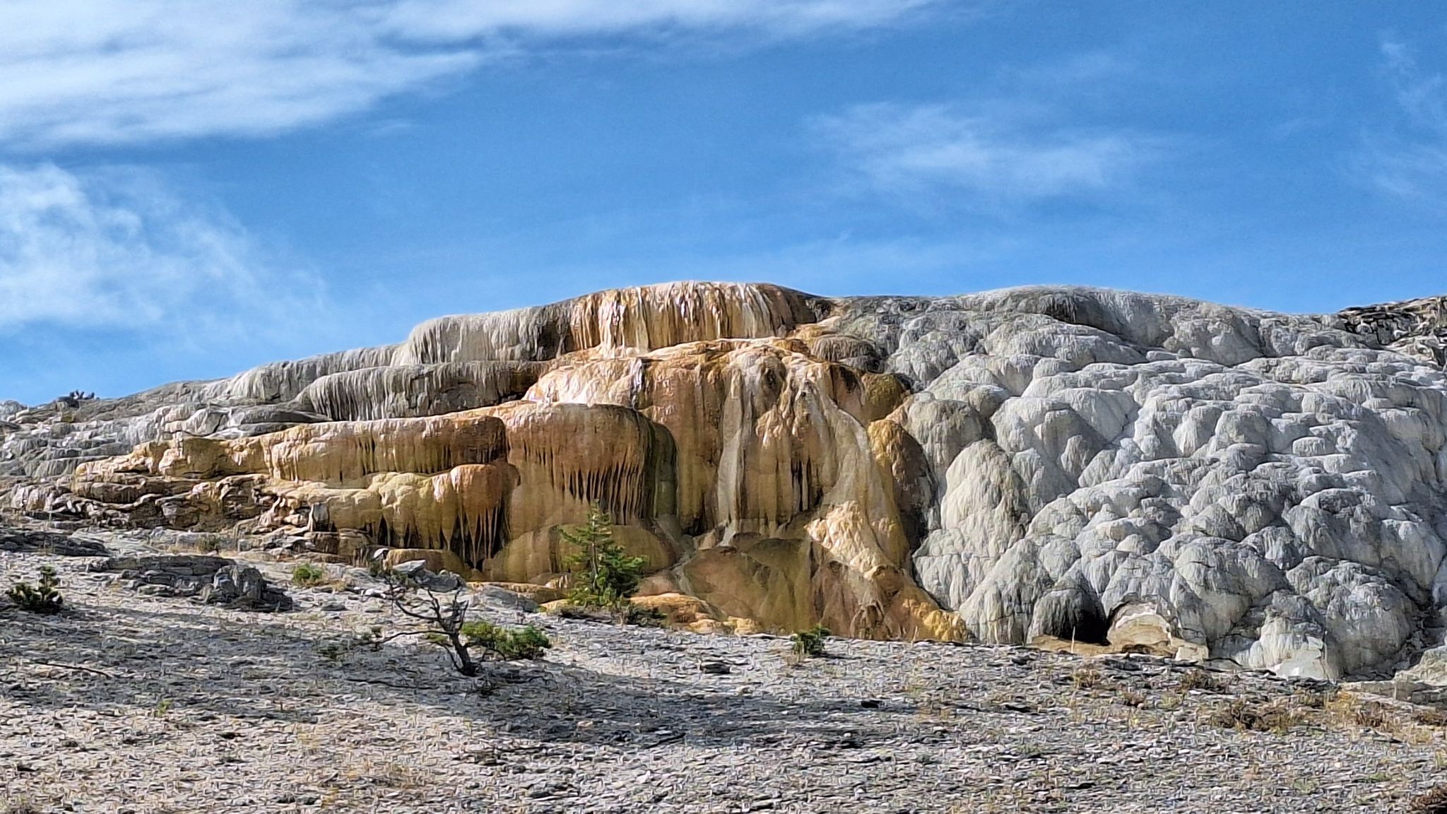 Terraced mineral formations, white and orange, under a bright blue sky. - Mammoth Terraces Trail