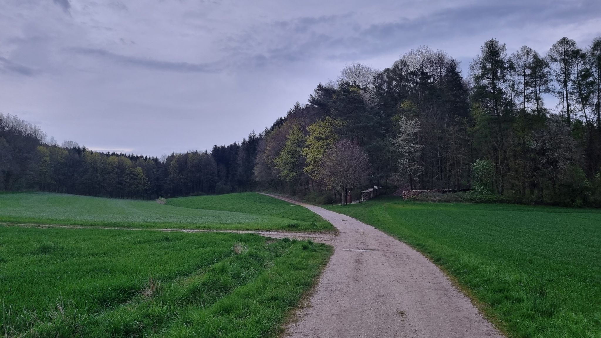 gleich geht's wieder in den Wald eini