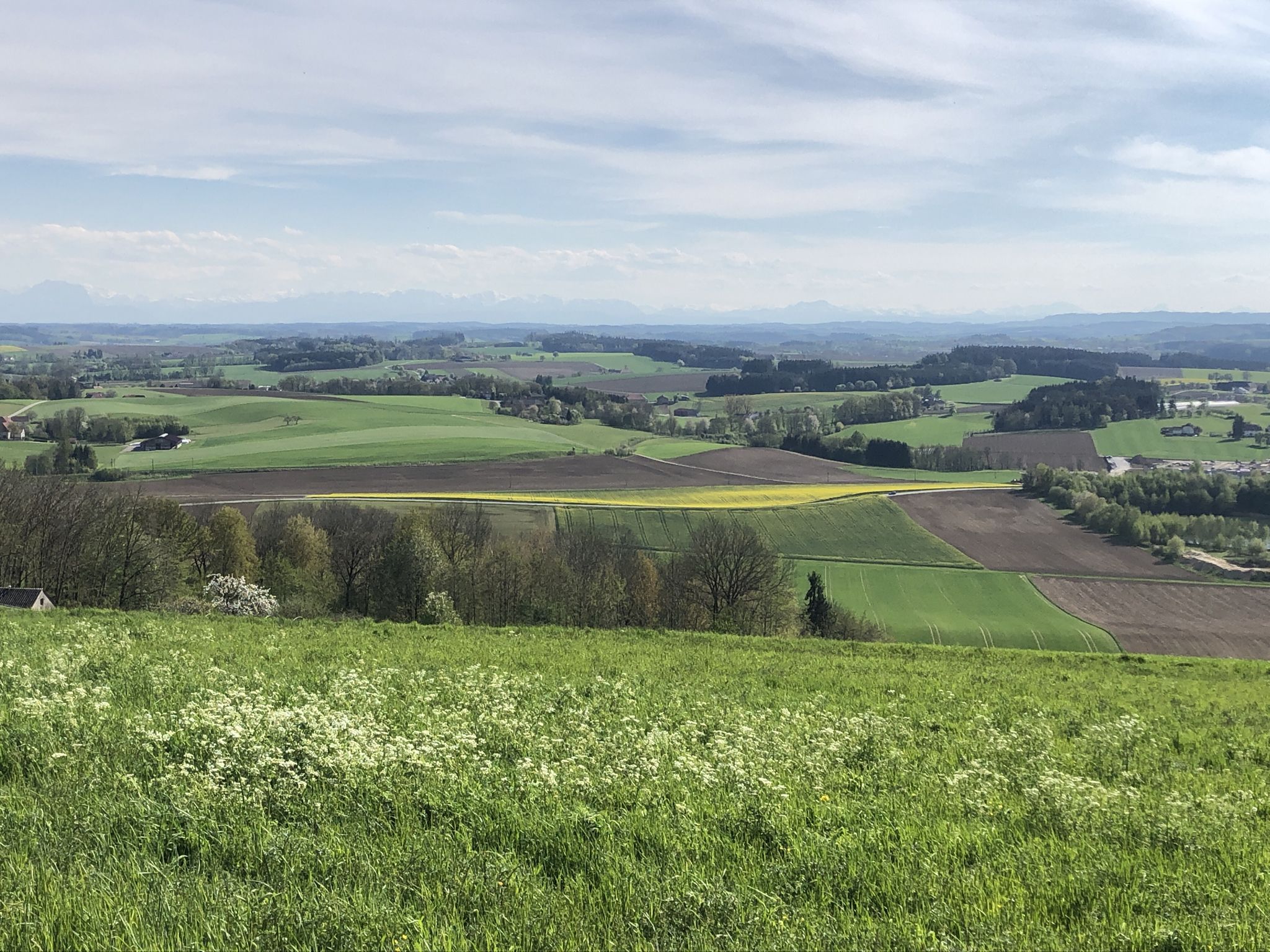 Bei  Strohheim
