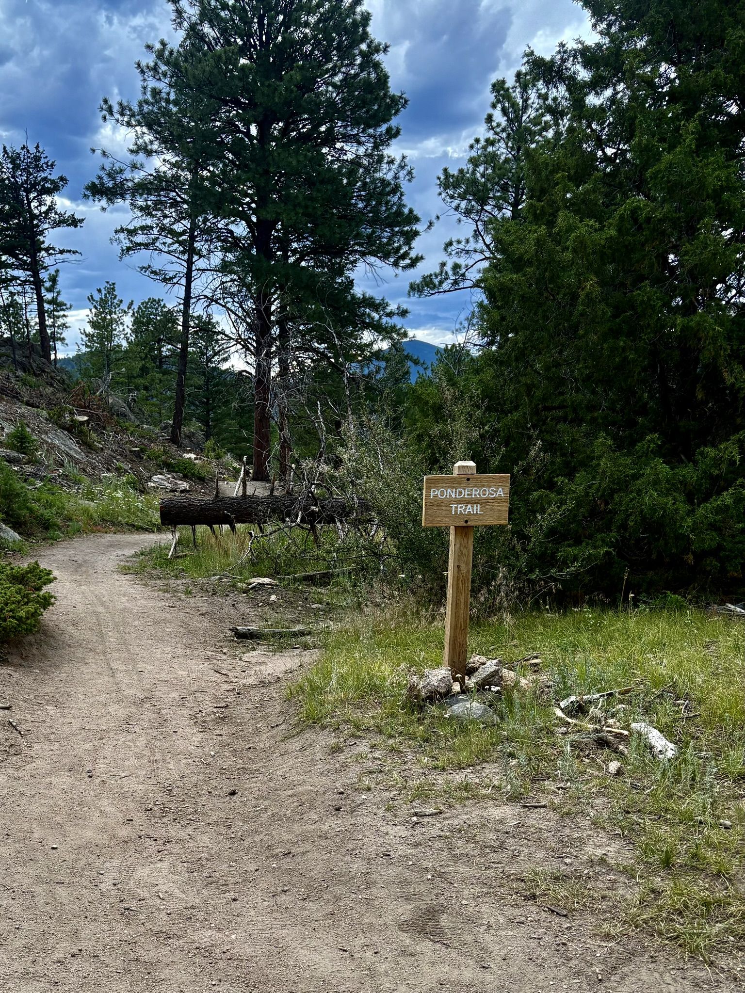 A dirt path leads into a forest, marked by a wooden trail sign. - Ponderosa Trail
