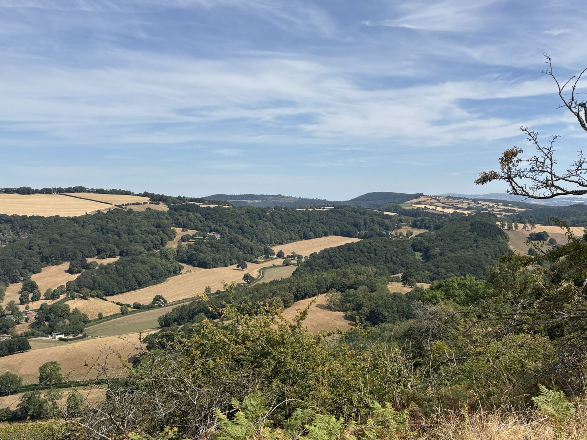 View towards Mortimer Forest