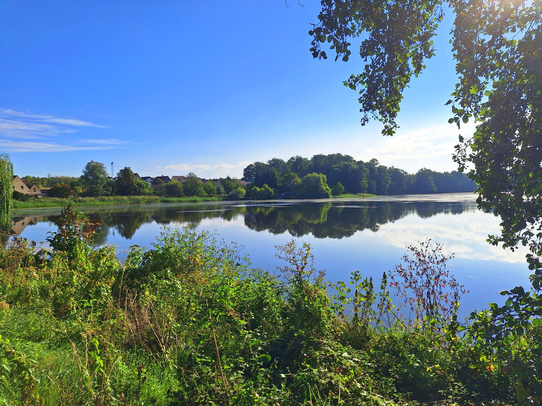 Küchenteich