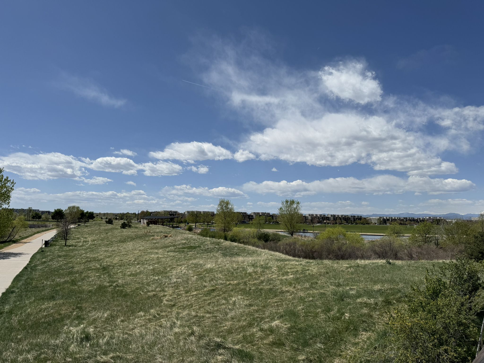 Sunny landscape with a paved path, grassy hills, trees, and distant buildings under a blue sky. - Cherry Creek Trail – Confluence Park loop from Alameda