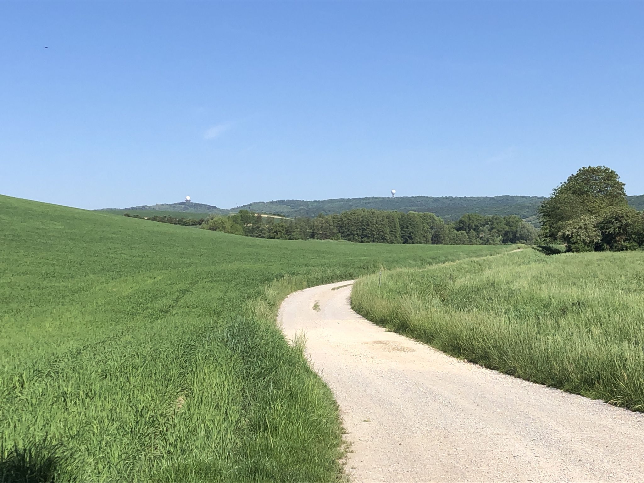 Buschberg voraus!