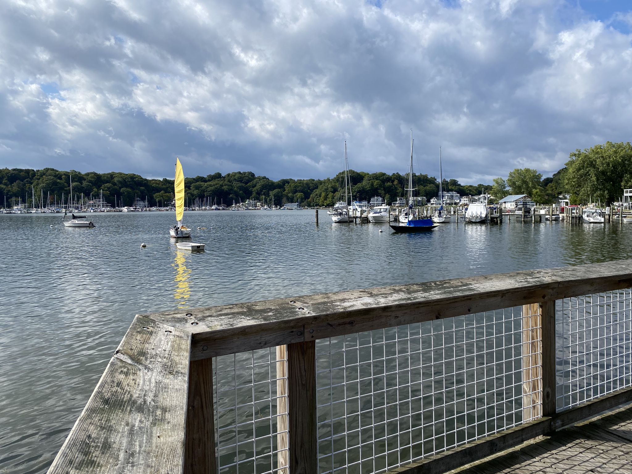 Sailboat with yellow sail on water, forested shore under cloudy sky. - Lakeshore Trail and Geneva Pines