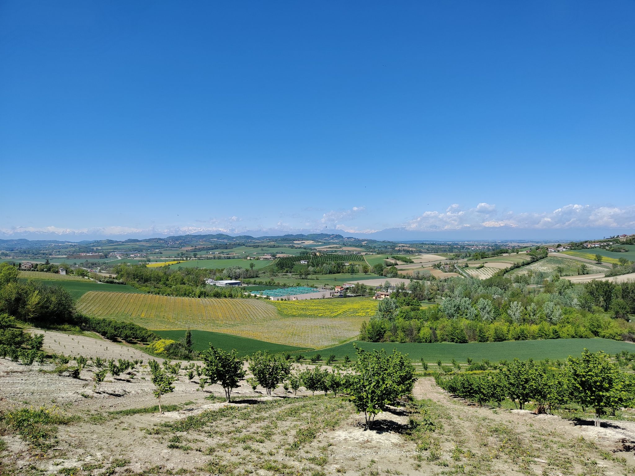 Panorama