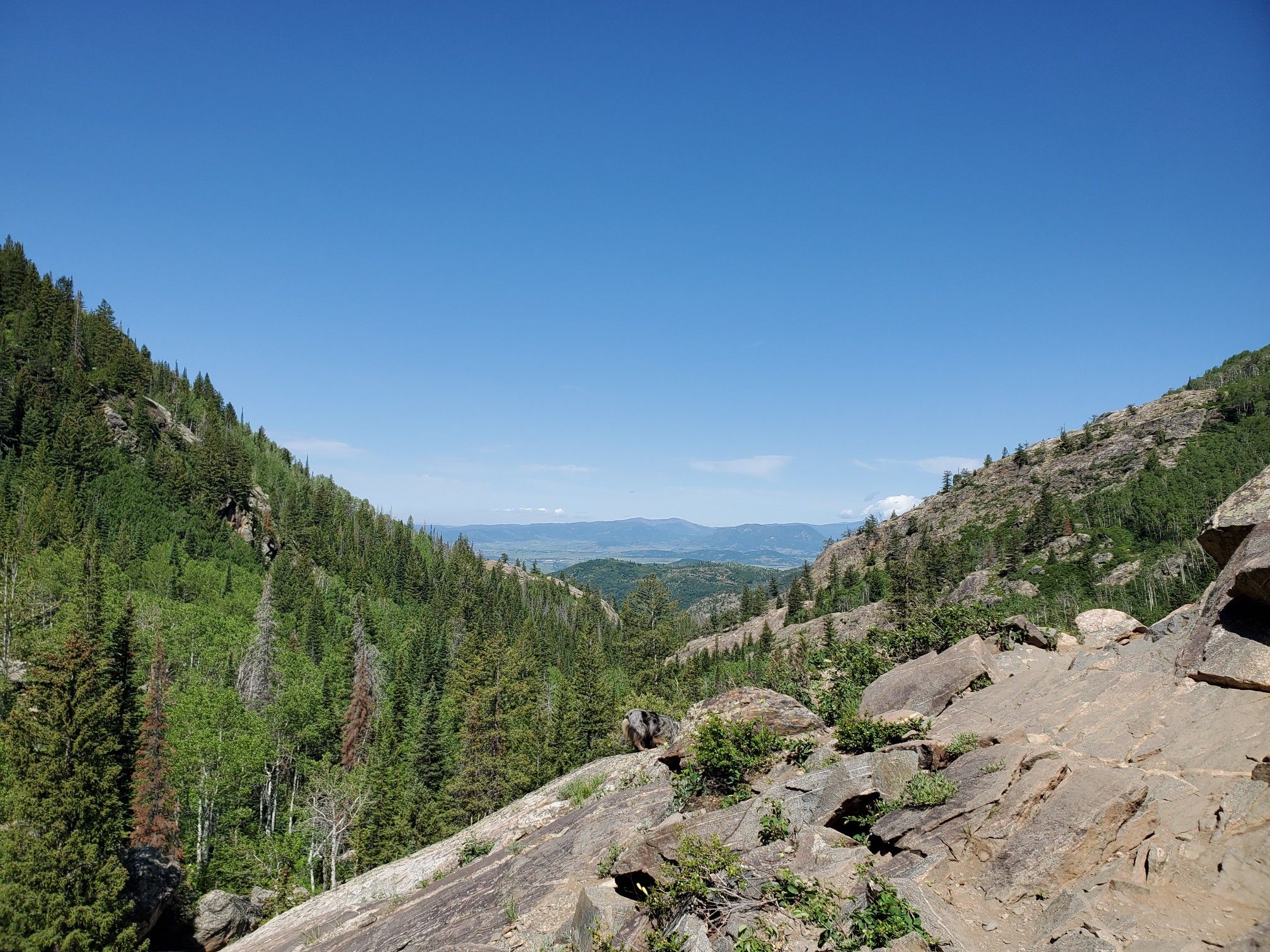 Mountain valley with evergreen trees under a clear blue sky. - Fish Creek Falls Trail
