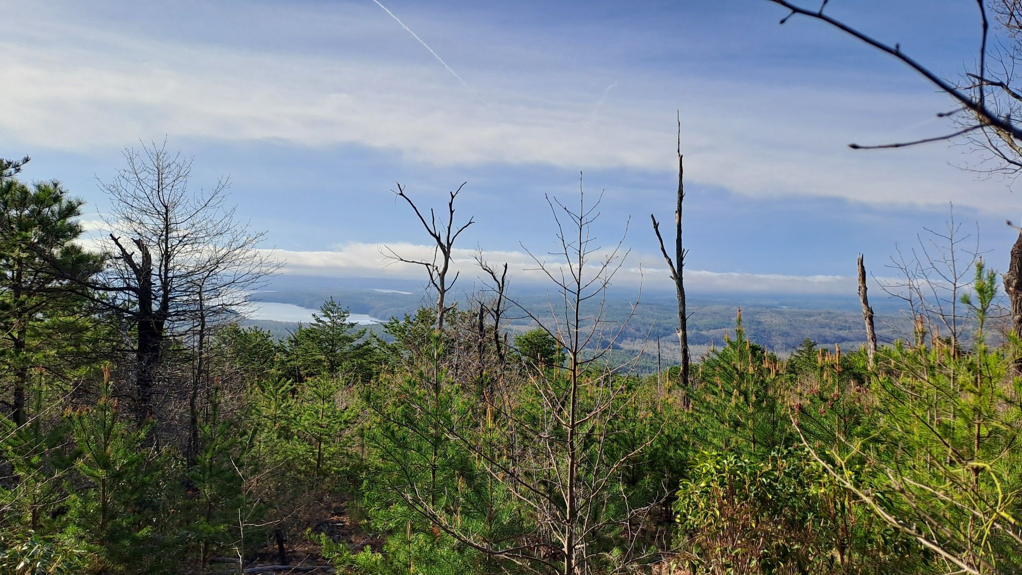 Distant lake and hazy mountains seen through sparse trees on a ridge. - Running loop from Pisgah WRC Game Land