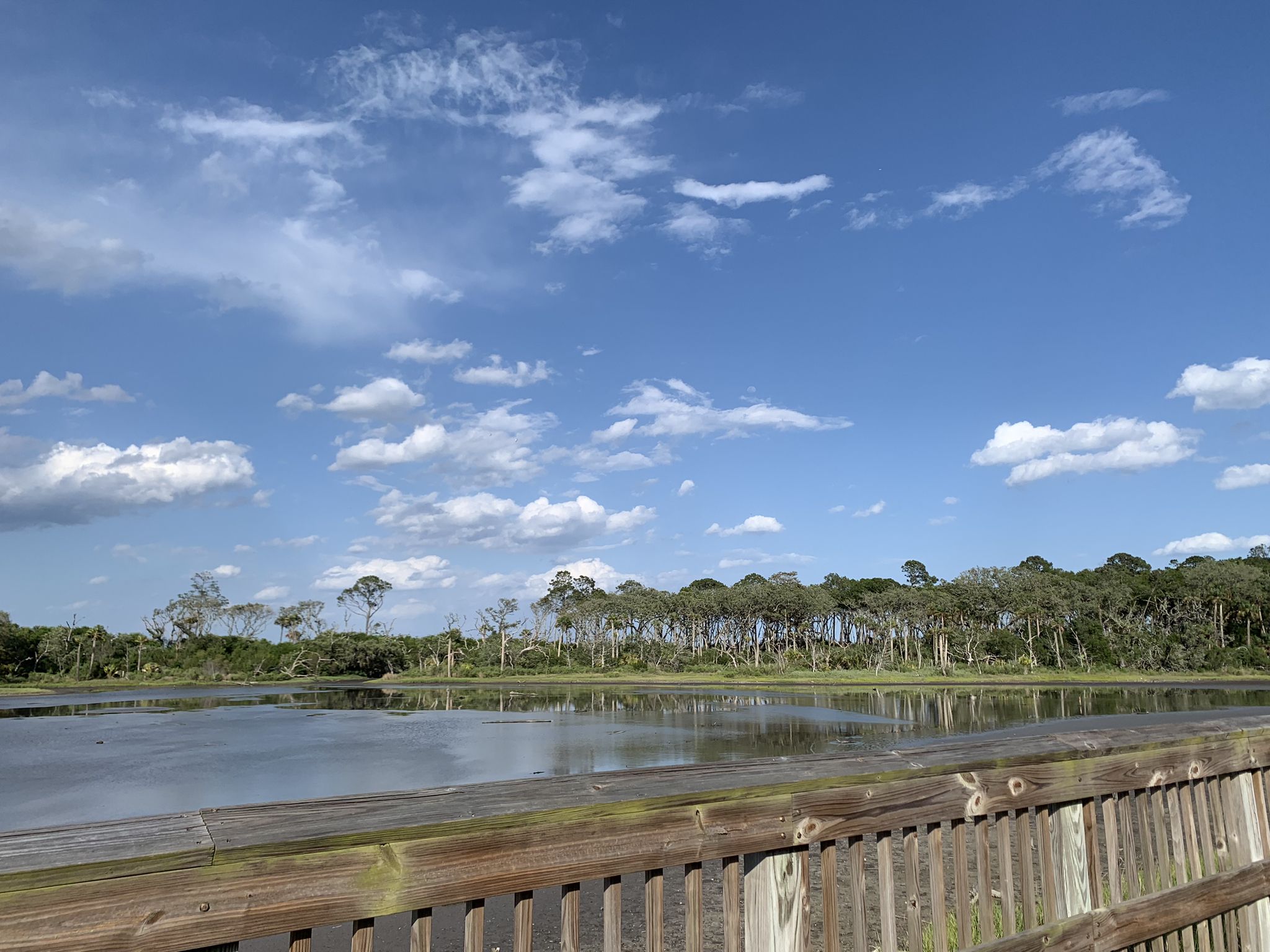 Wooden boardwalk railing overlooking a calm river and distant trees under a blue sky. - Amelia Island State Park – Buccaneer Trail loop from Amelia Island Light