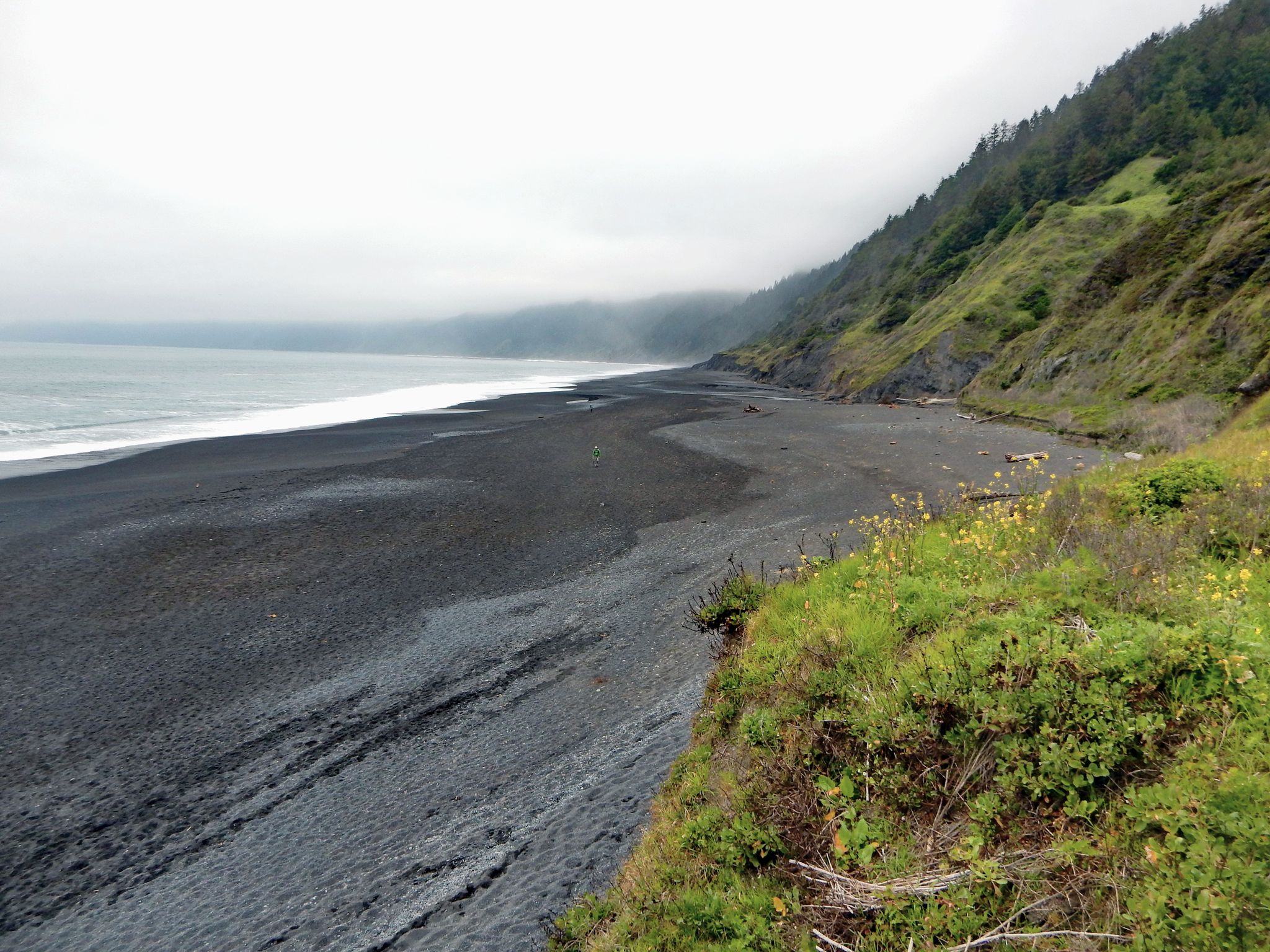 Overcast view of a wide dark beach with waves and misty forested hills. - Bike loop from Shelter Cove
