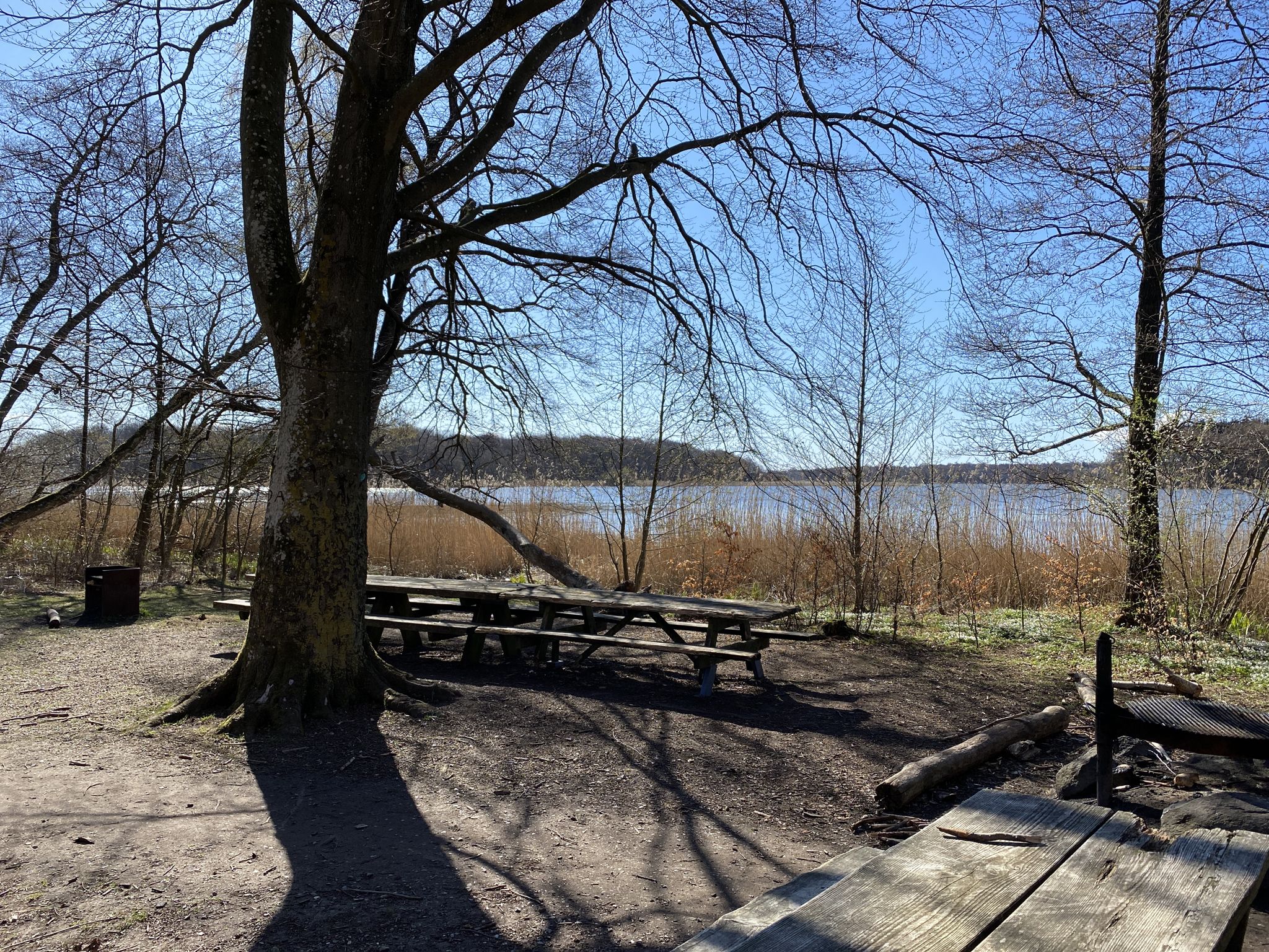 Another campsite