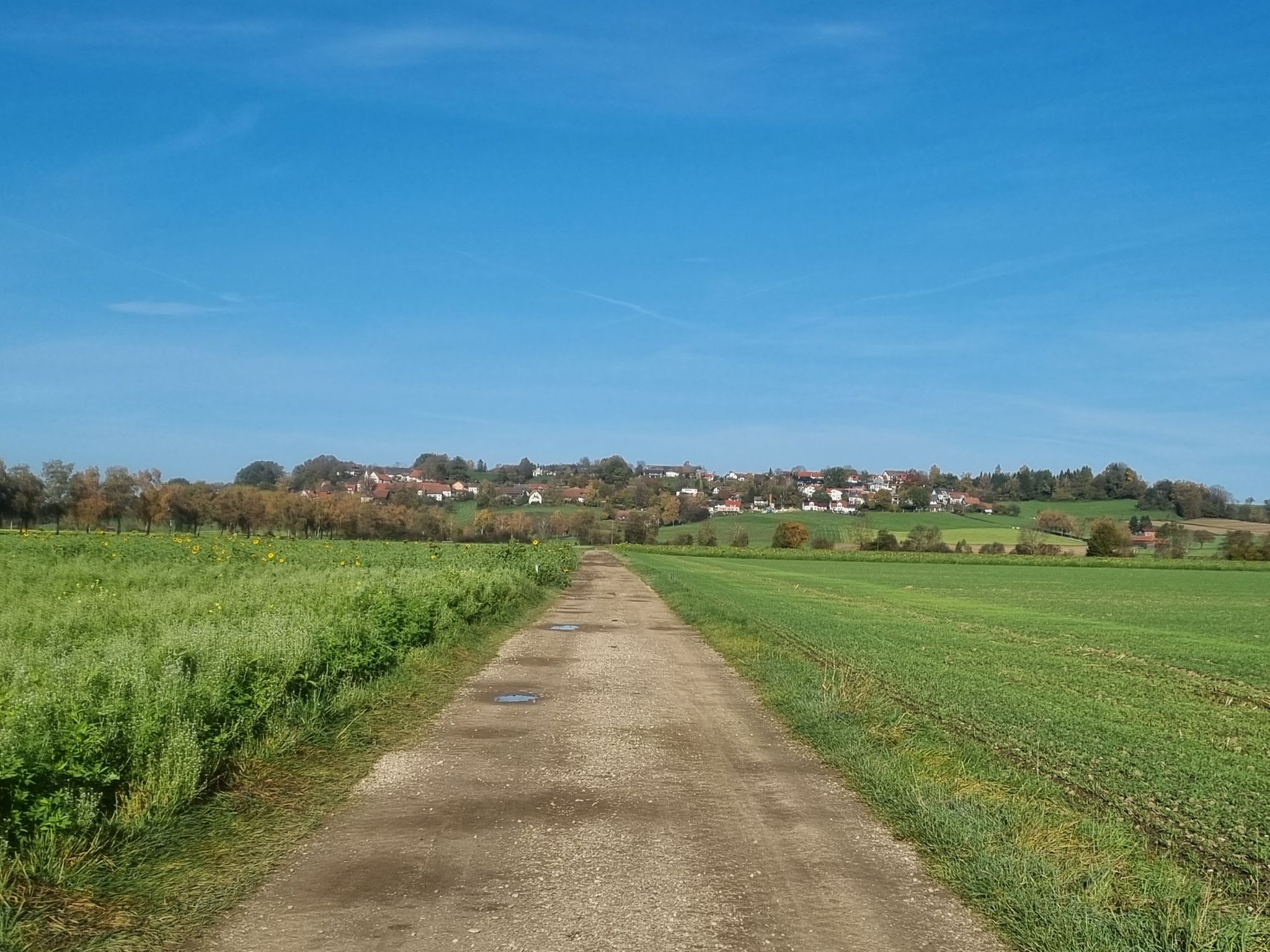 Dagsberg