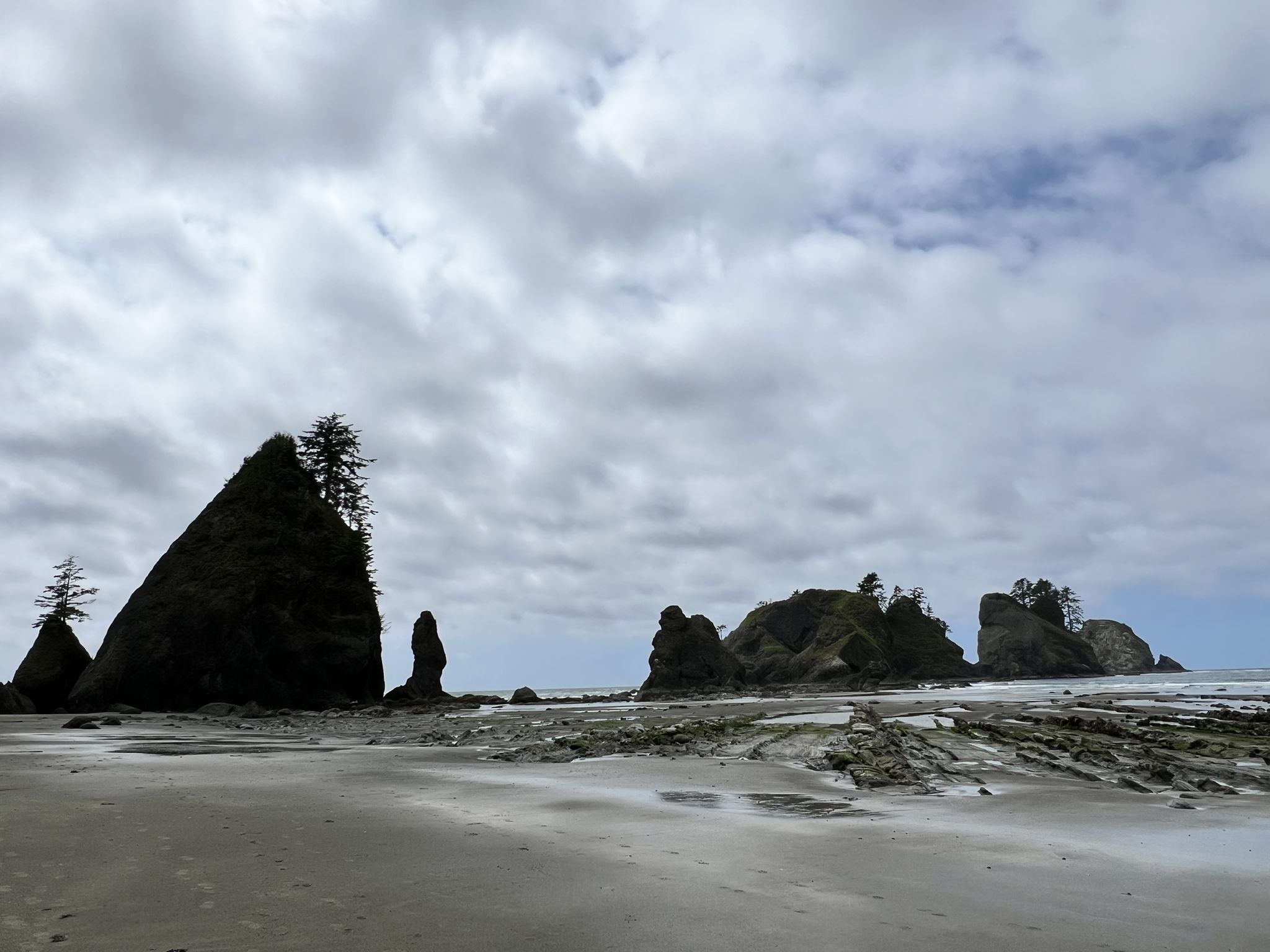 Overcast sandy beach with dark, tree-covered sea stacks and cloudy sky. - Shi Shi Beach Trail