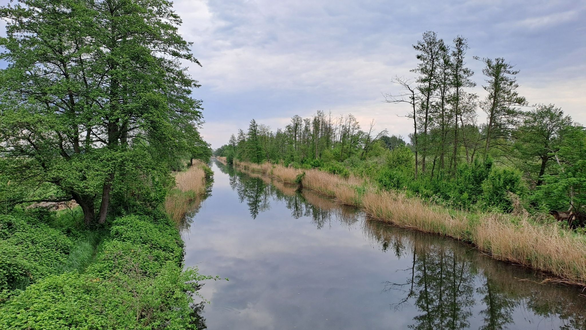 Der Wustrauer Rhin