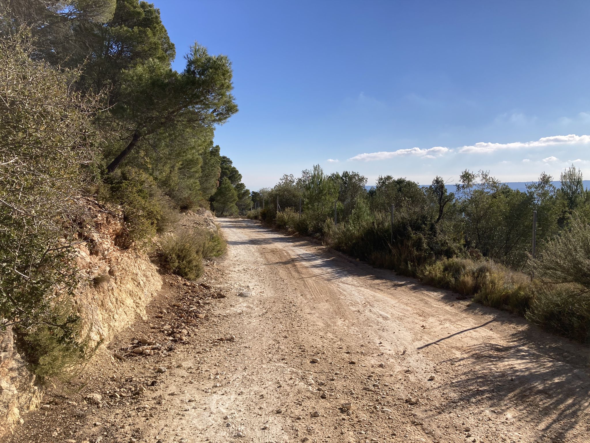 Carril de La Solana (ruta btt #9)