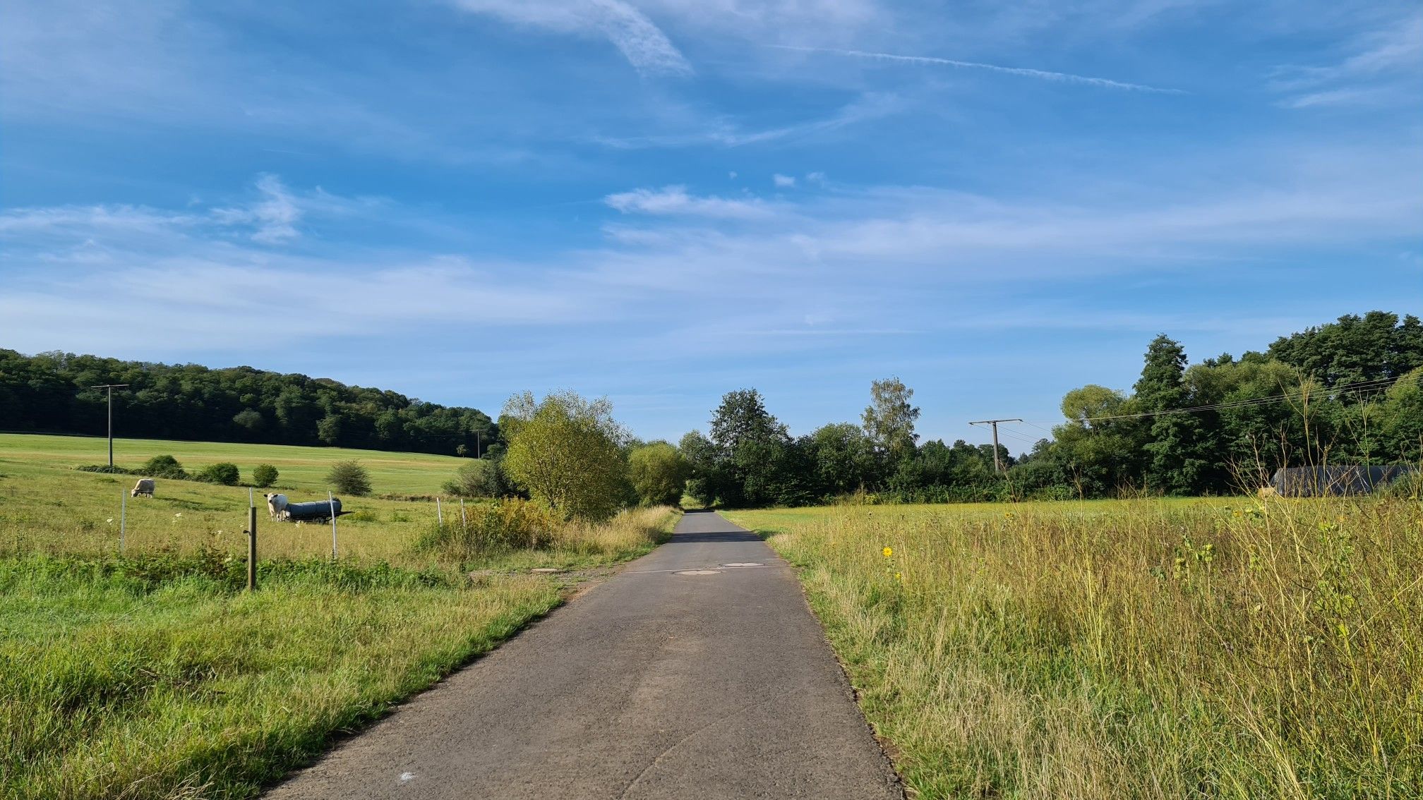 Der Nidda-Radweg
