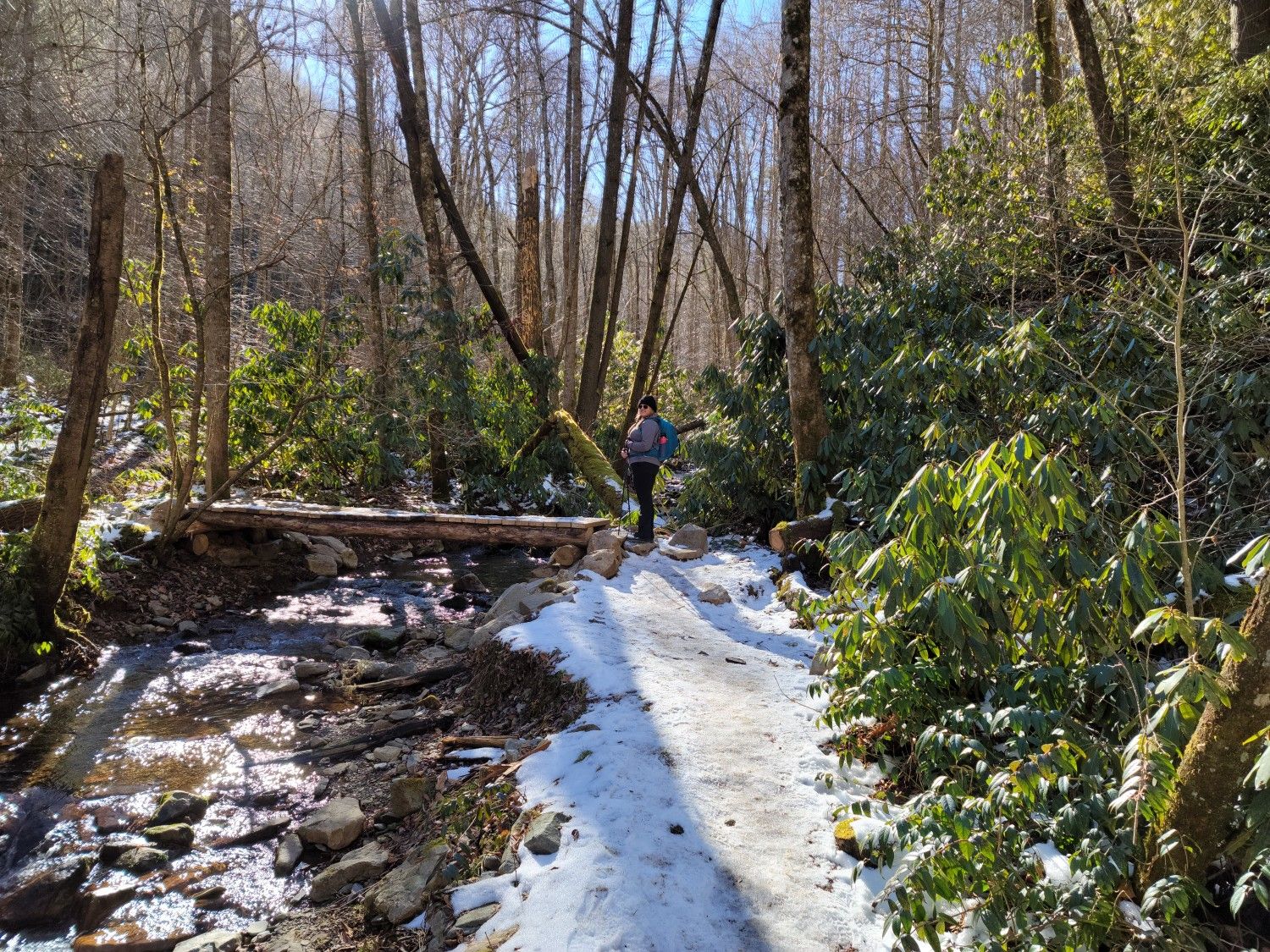 A person hikes on a snowy forest path beside a stream and log bridge. - Snakeden Ridge Loop