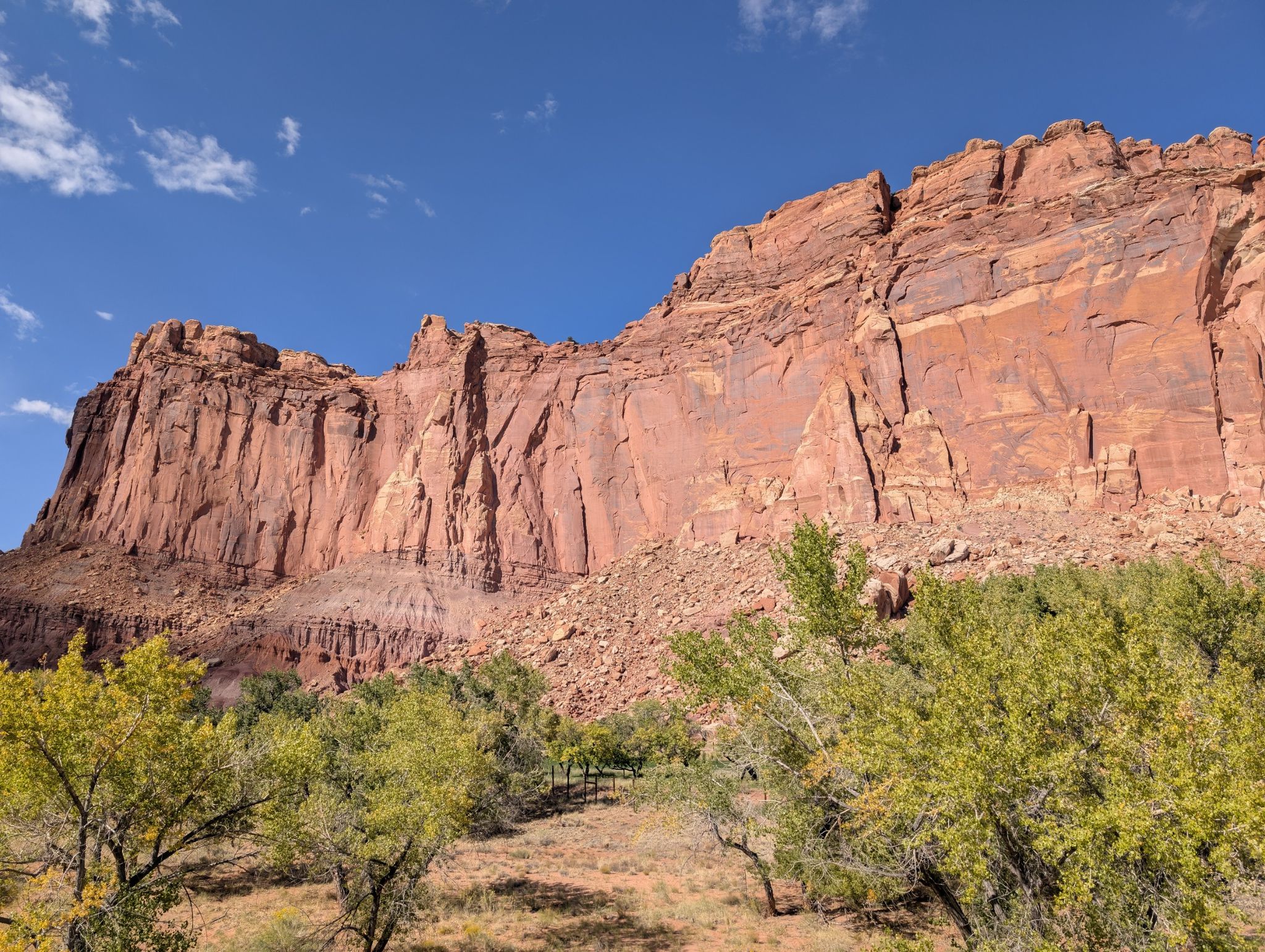 Towering red rock cliffs rise above green trees under a blue sky. - Multi-Use Trail
