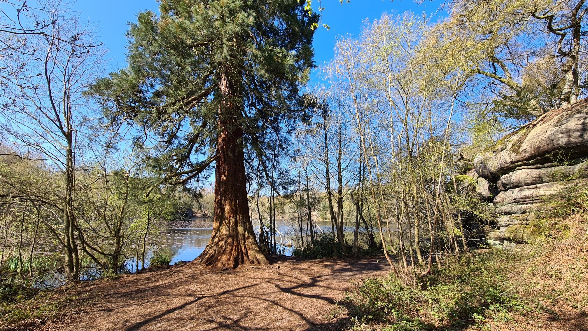 Pond 