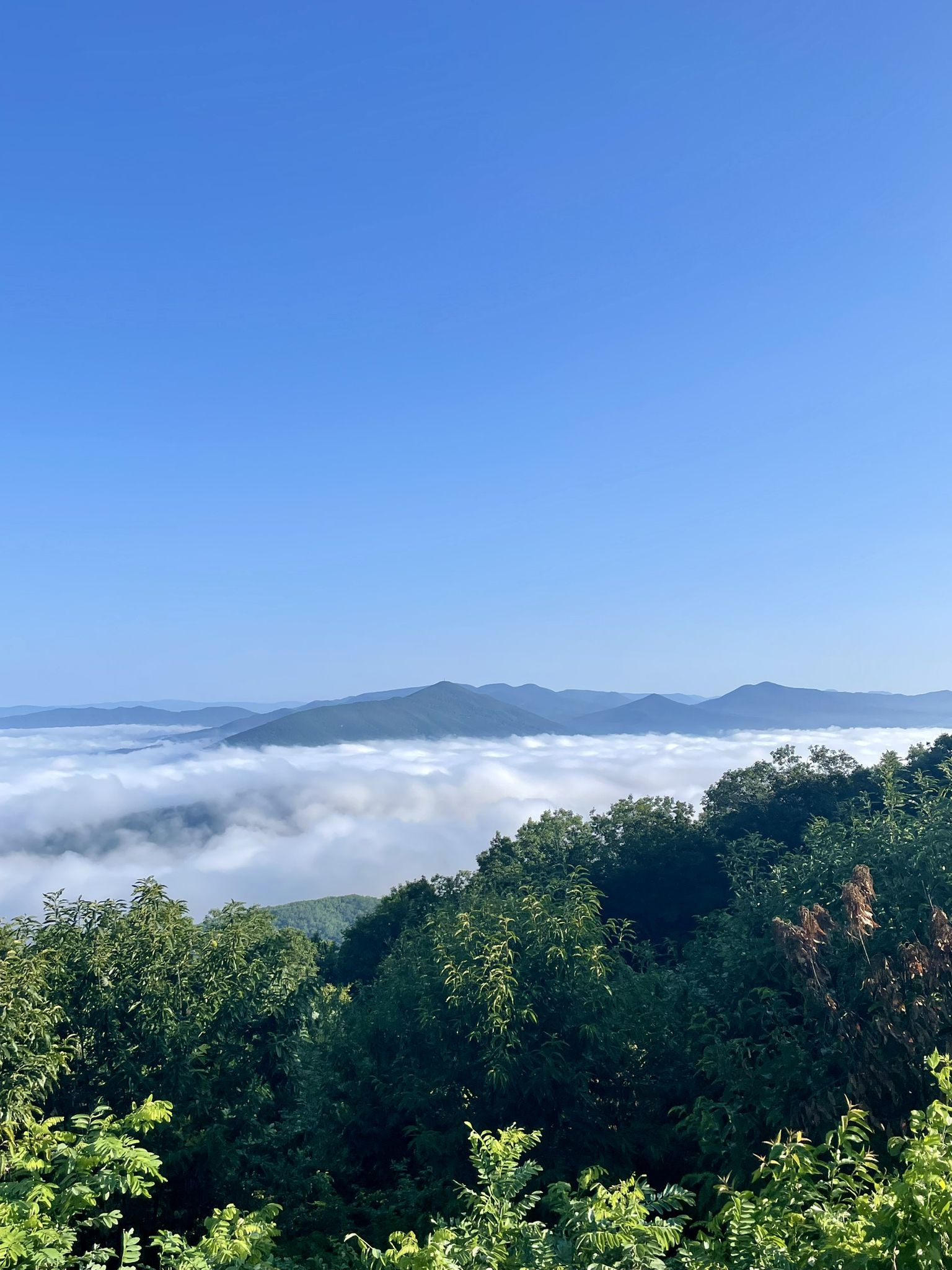 Mountain peaks rise above a sea of clouds under a clear blue sky. - Peaks of Otter Lodge to Mills Gap Overlook