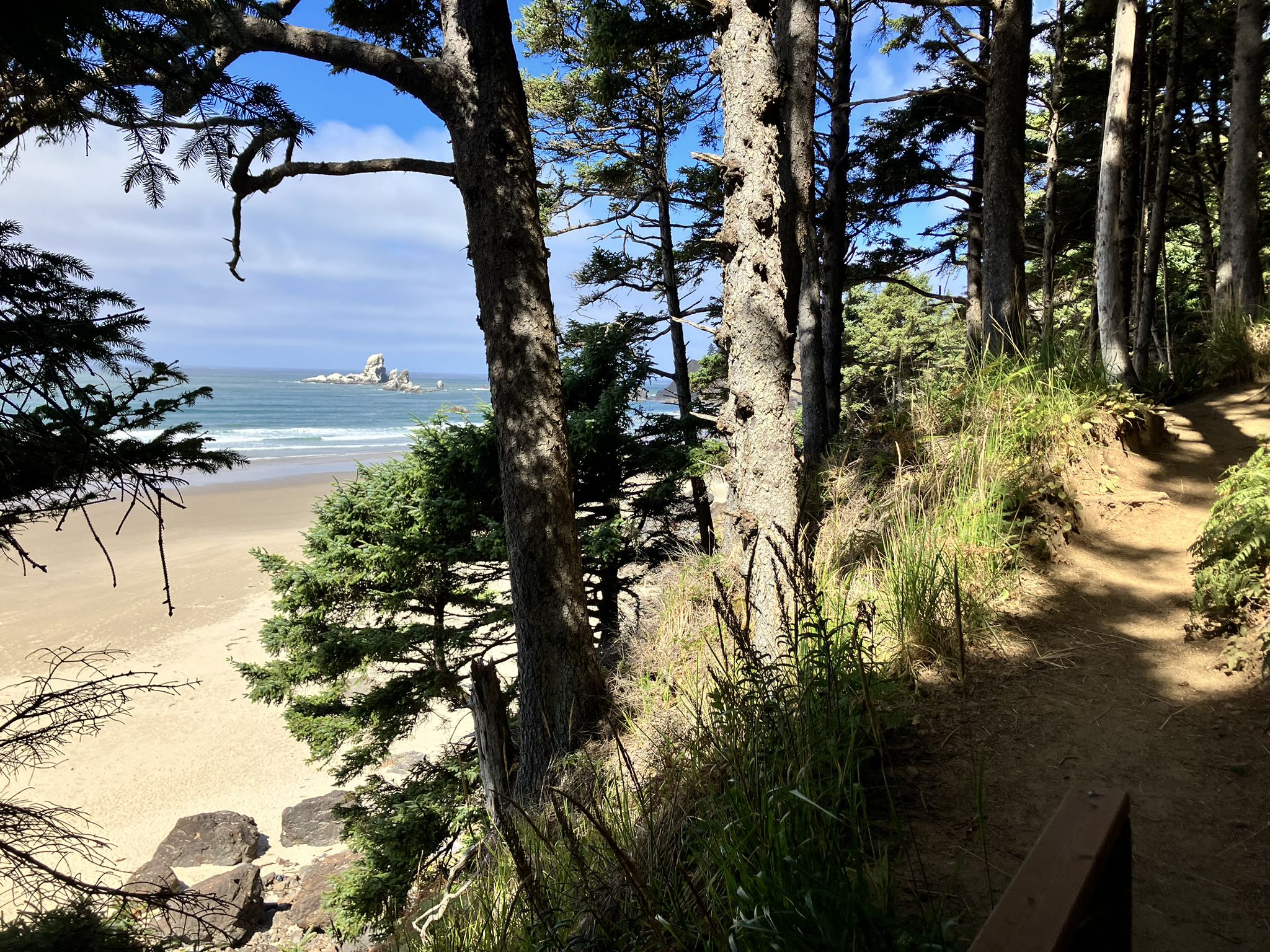 Sunny coastal trail overlooking a sandy beach and ocean with distant sea stacks. - Crescent Beach Trail