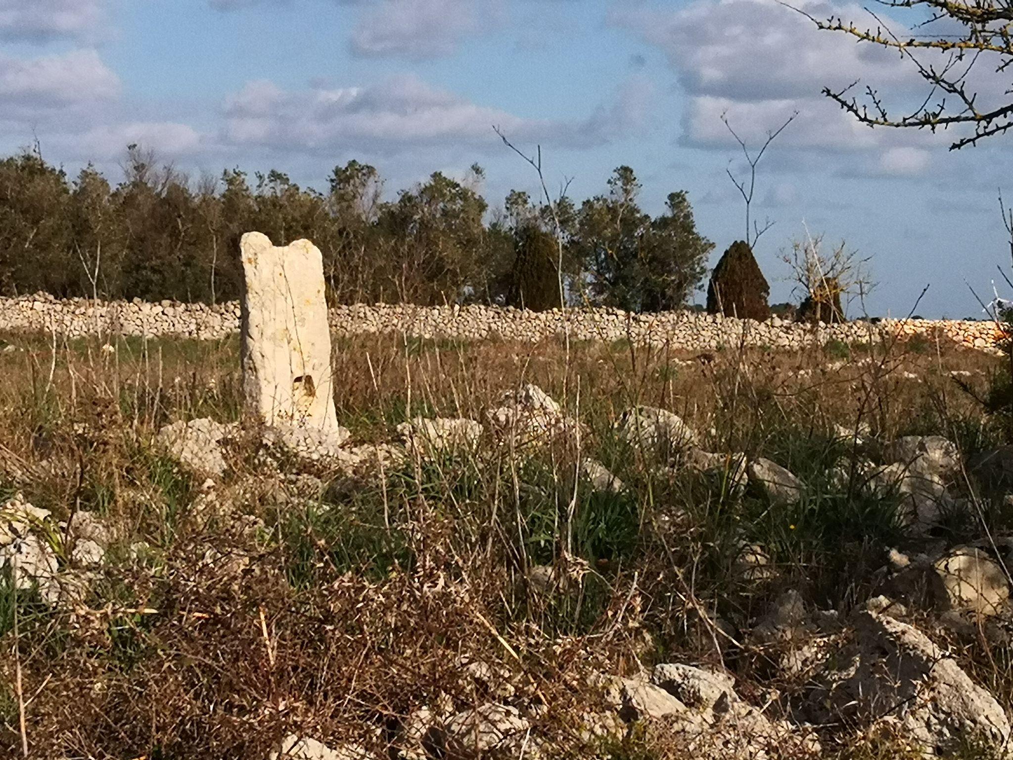 Menhir Croce di Marrugo, Serrano
