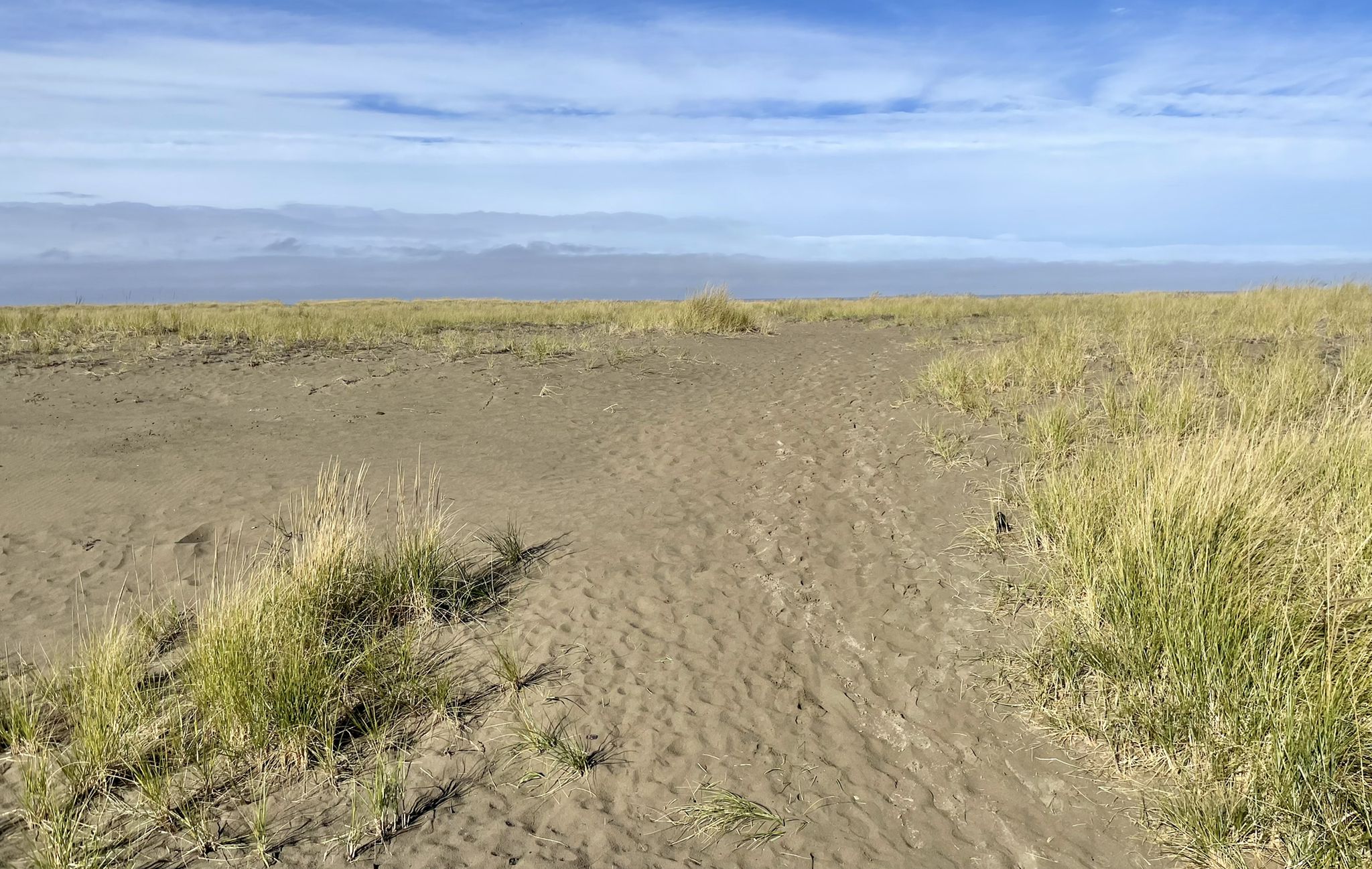Sandy path through grassy dunes under a partly cloudy blue sky. - TransAmerica Trail