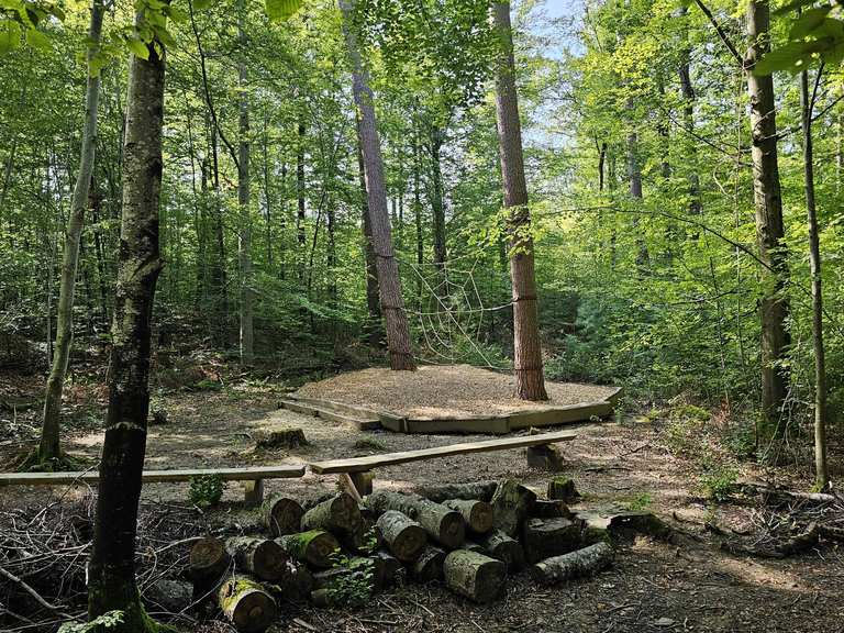 Schlat - Schlater Wald See - Grünenberg - Wasserberg Haus - Aktiv Pfad ...