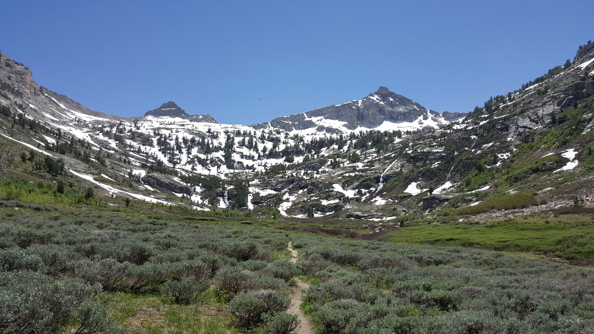 A winding trail through a sagebrush valley leading to snowy mountain peaks. - Thomas Creek Trail