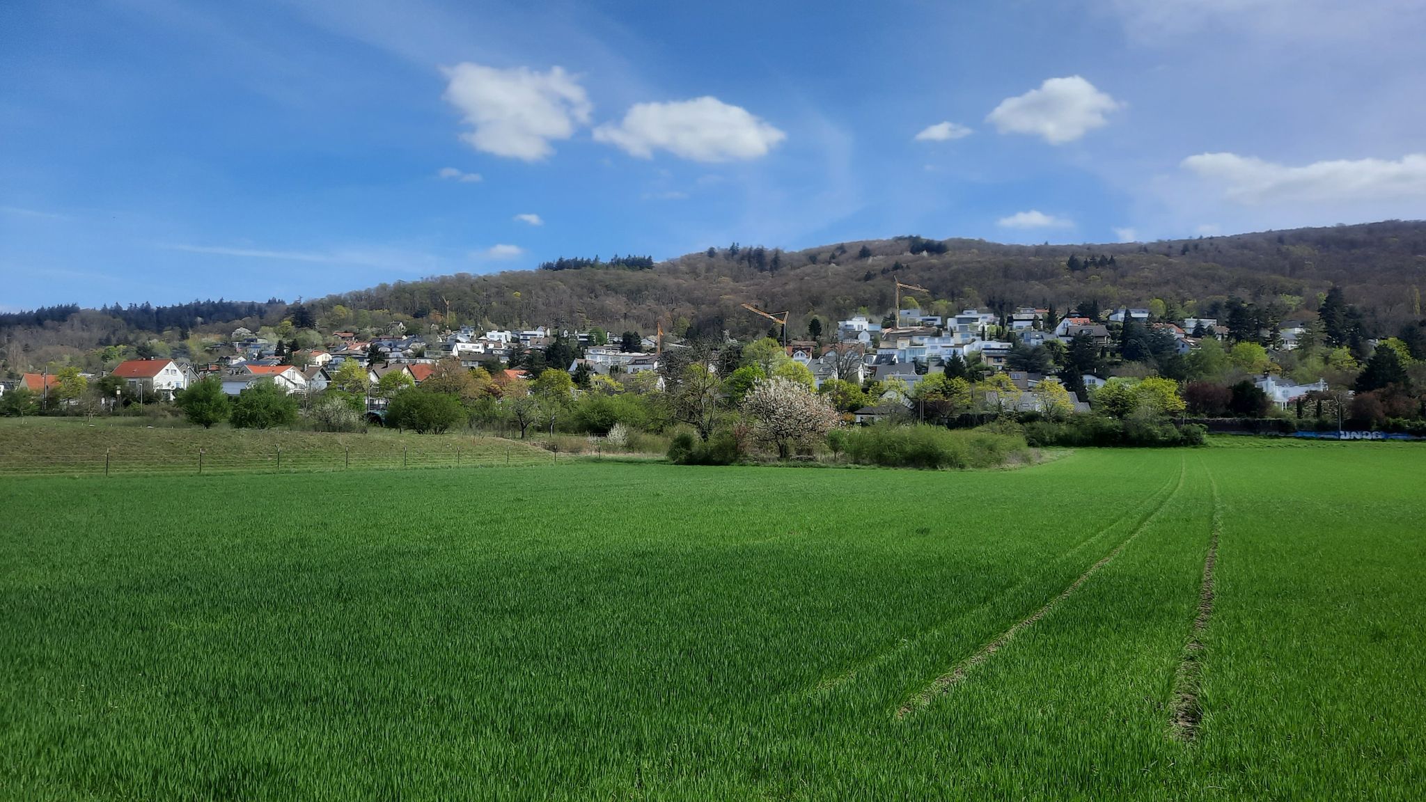 Blick auf Malchen