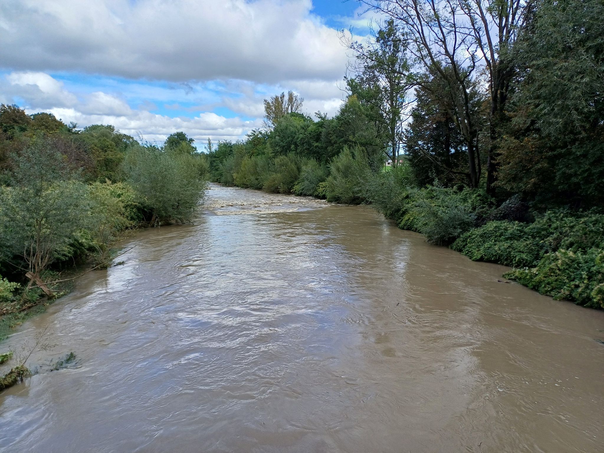 Wieprzówka