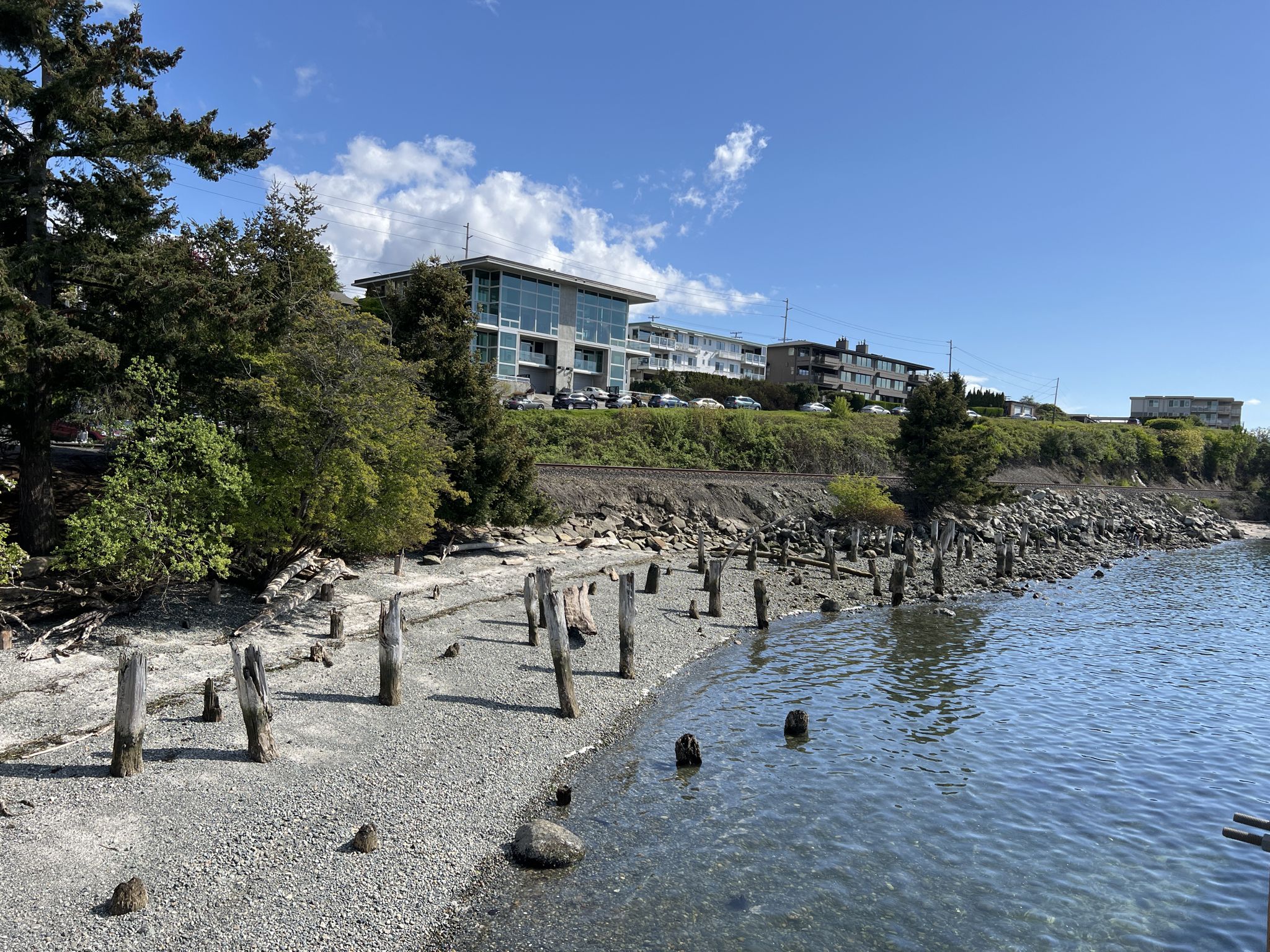Rocky beach with old wooden pilings, green trees, and buildings on a hill. - Railroad Trail – Derby Pond loop from Laurelwood Trail