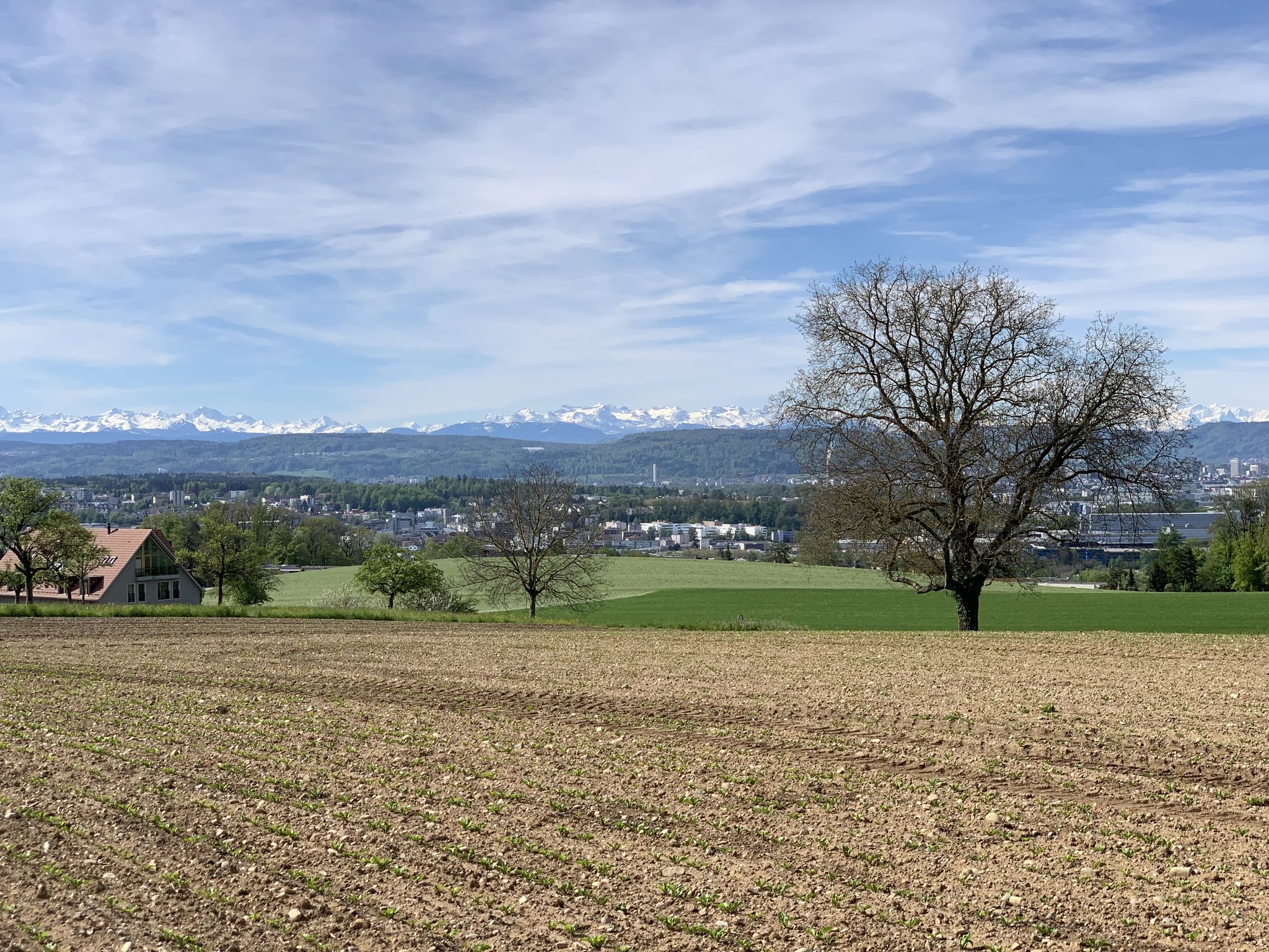 Blick Richtung Egetswil