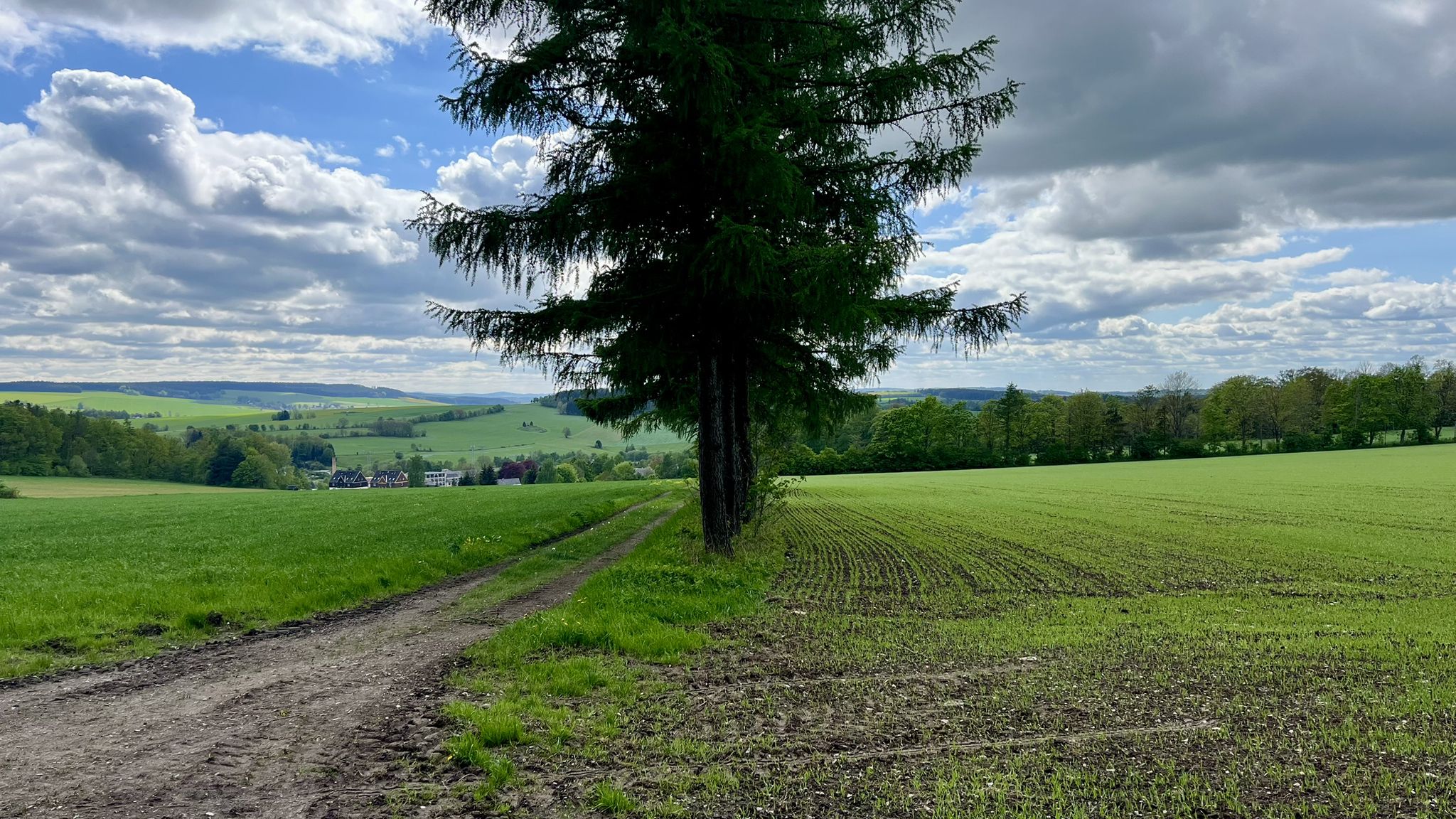 Blick auf den Schatzenstein