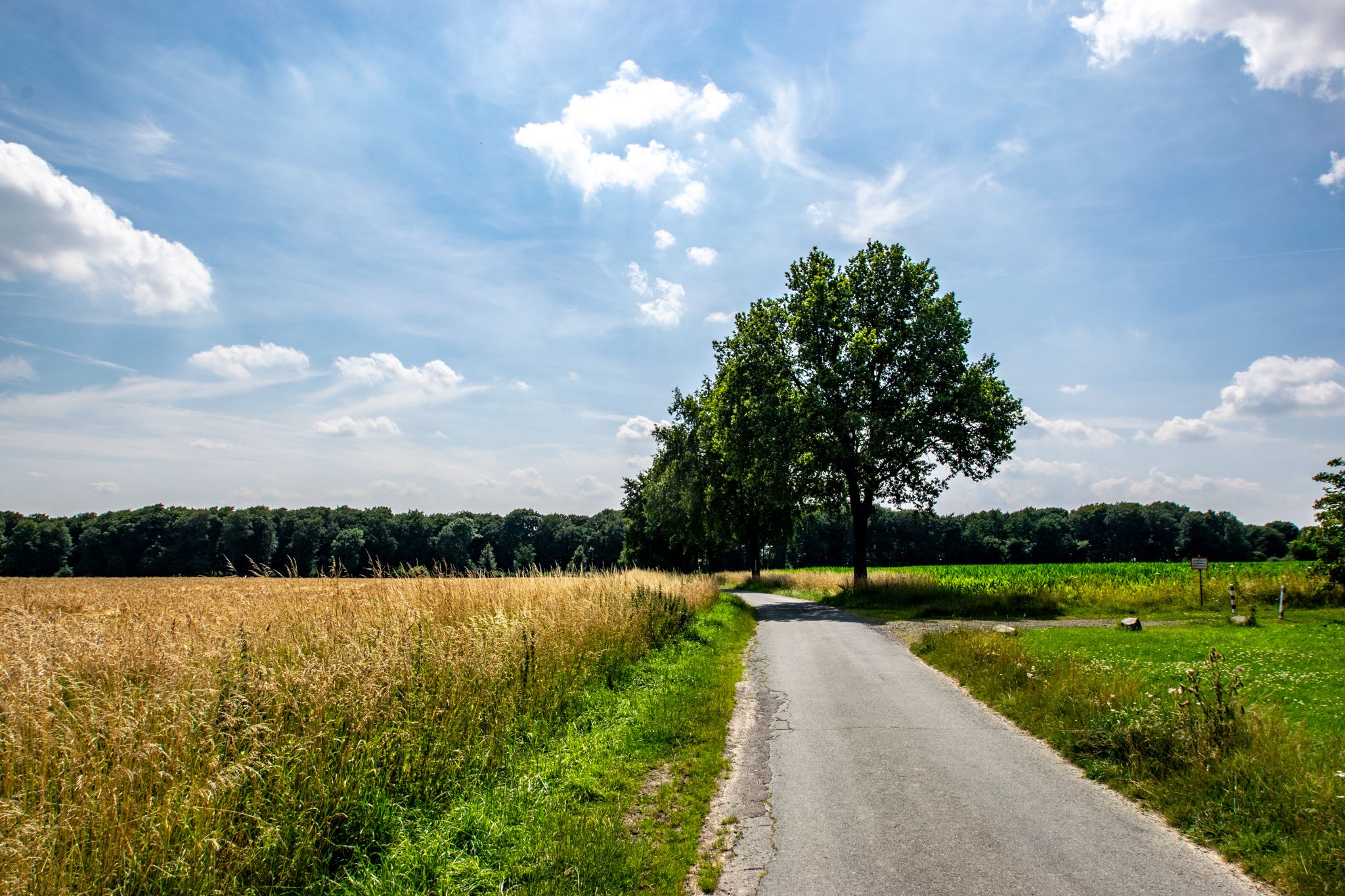 am Longinusturm
