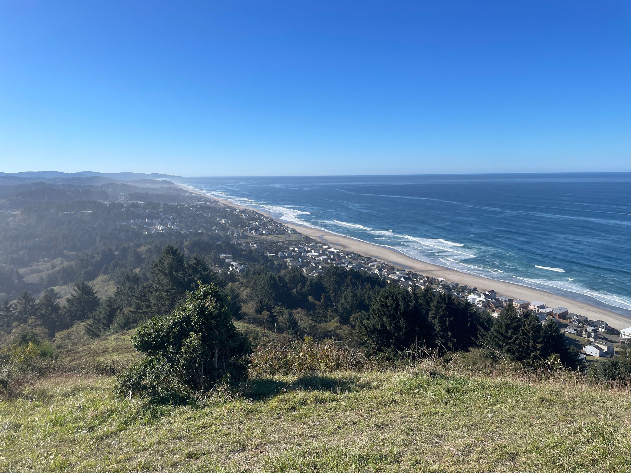Panoramic view of a coastal town, forest, and ocean under a clear blue sky. - The Thumb via The Knoll