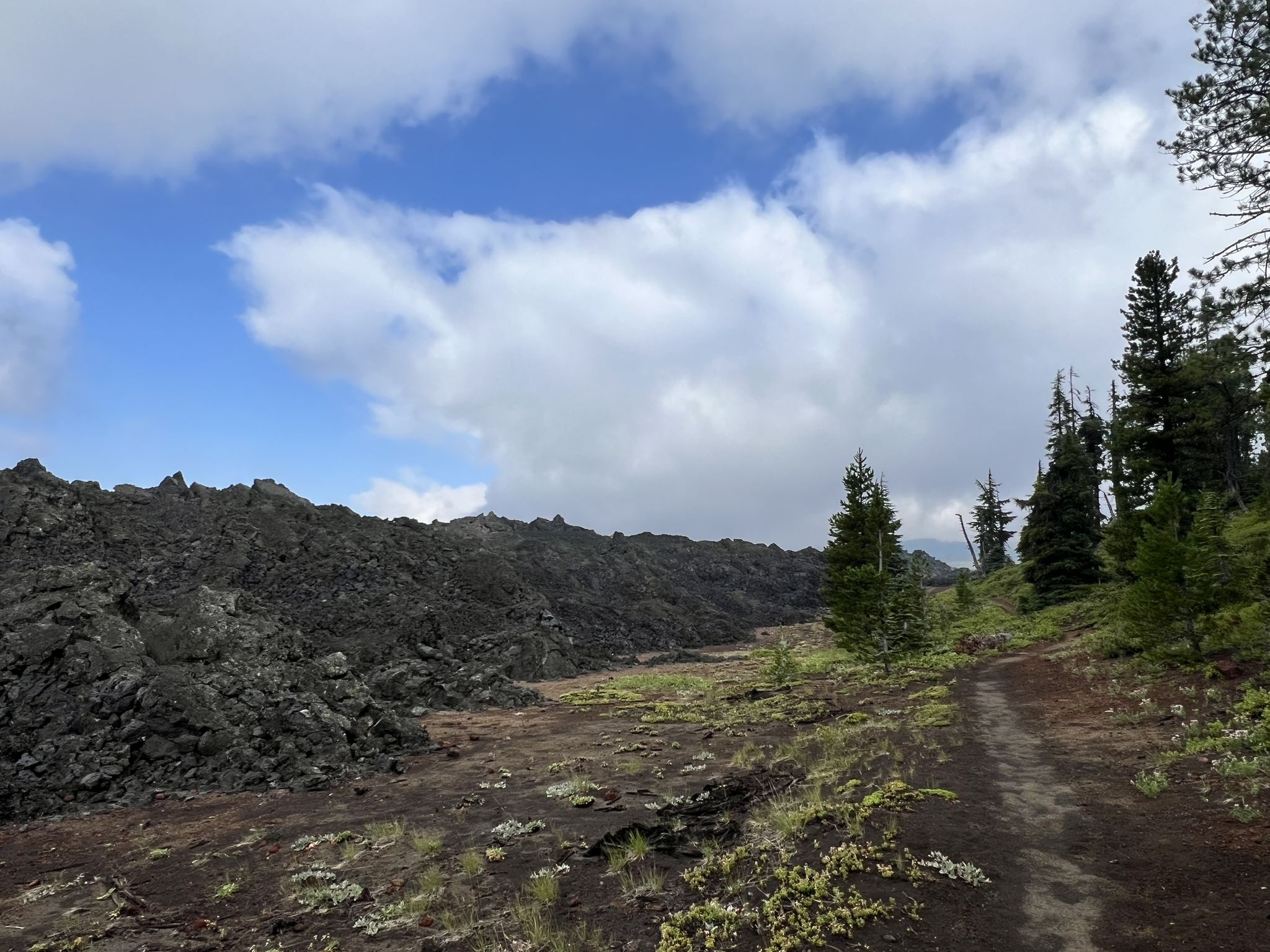 A dirt path alongside a dark lava flow and scattered pine trees. - Little Belknap Crater run